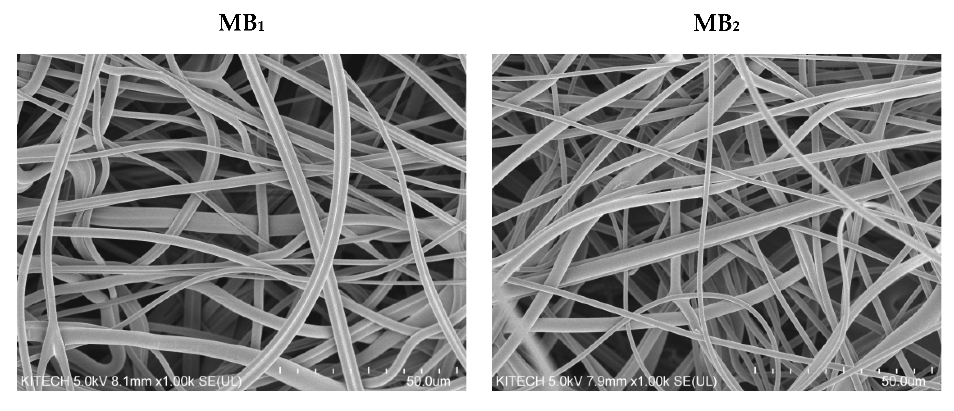 Polymers 13 04067 g002a Polymers 13 04067 g002a