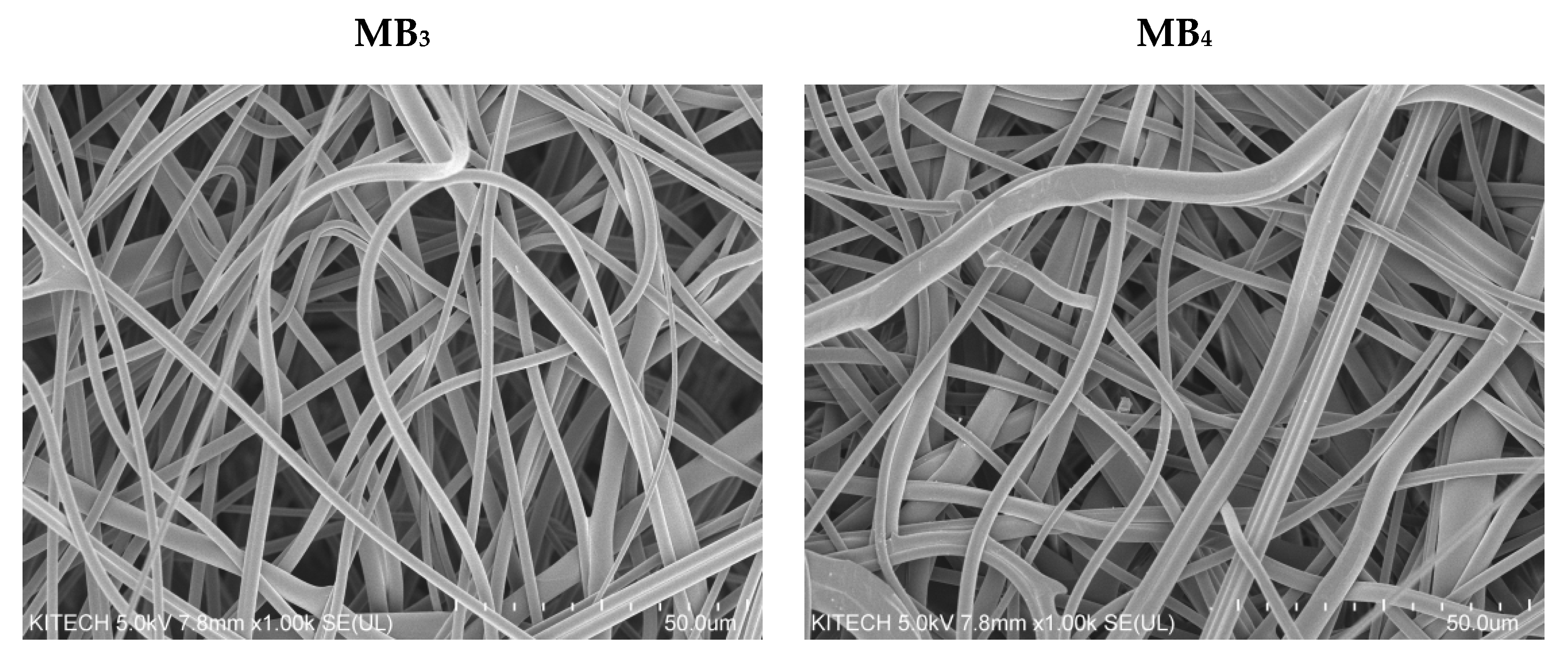 Polymers 13 04067 g002b Polymers 13 04067 g002b