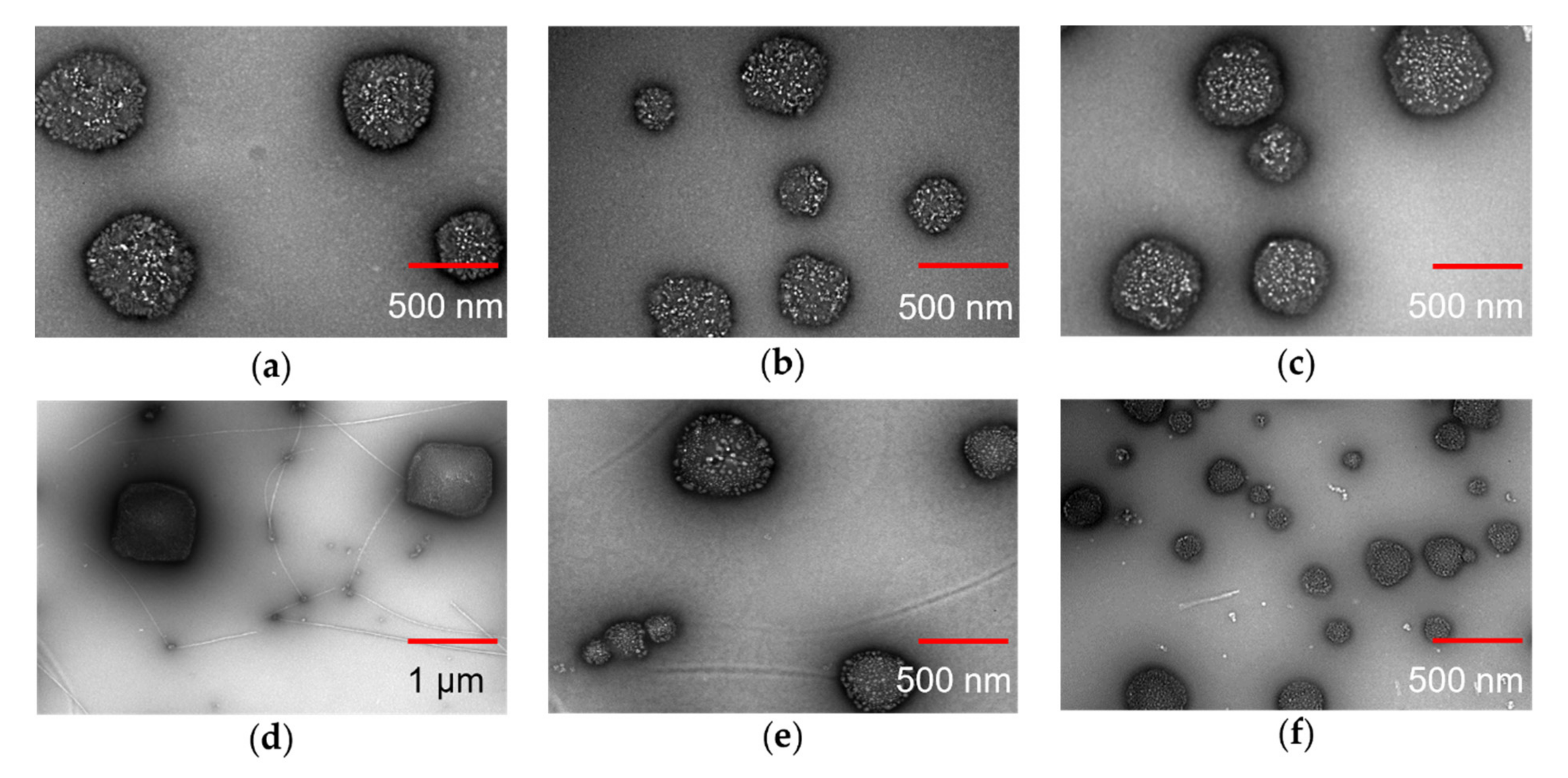 Polymers 13 04071 g003