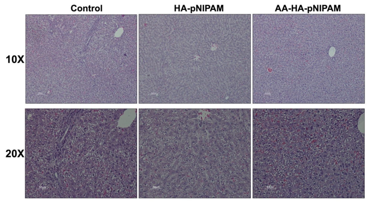 Polymers 13 04071 g010