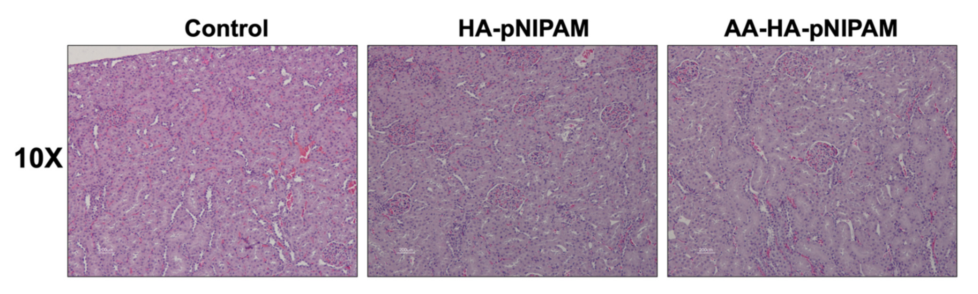 Polymers 13 04071 g011