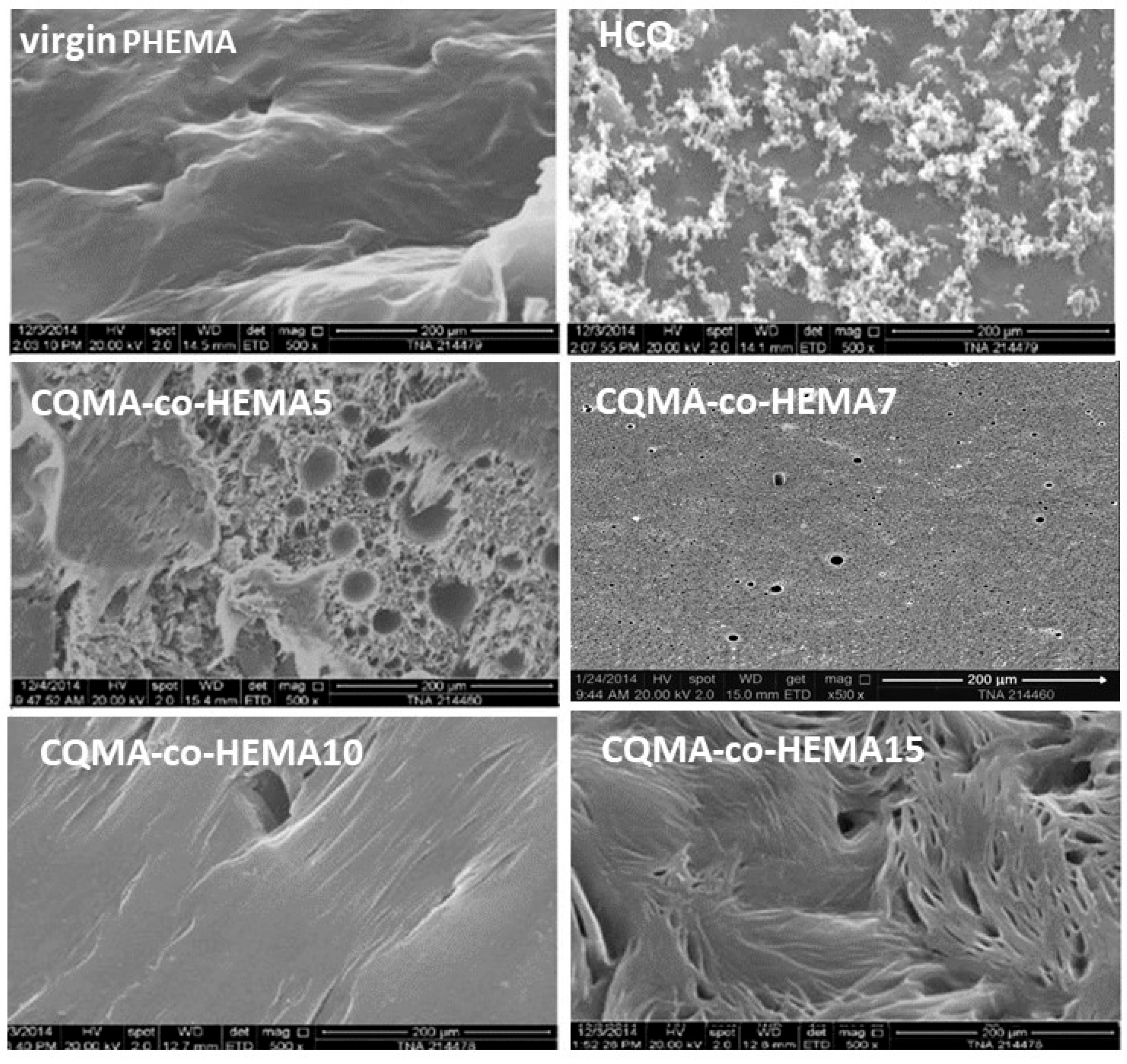 Polymers 13 04072 g010