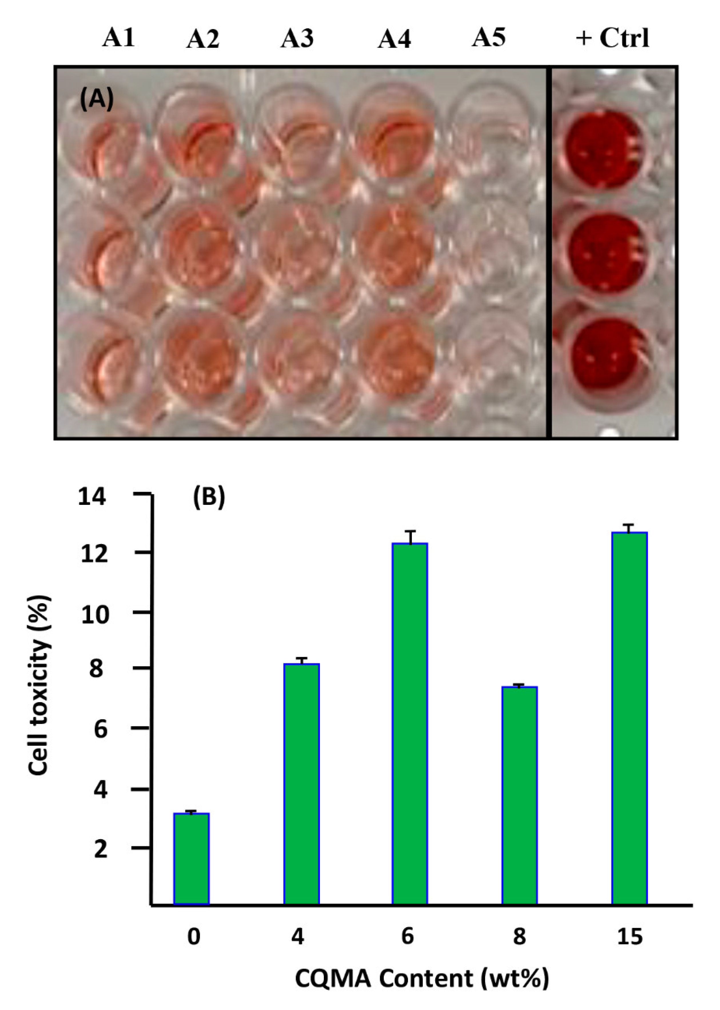 Polymers 13 04072 g013