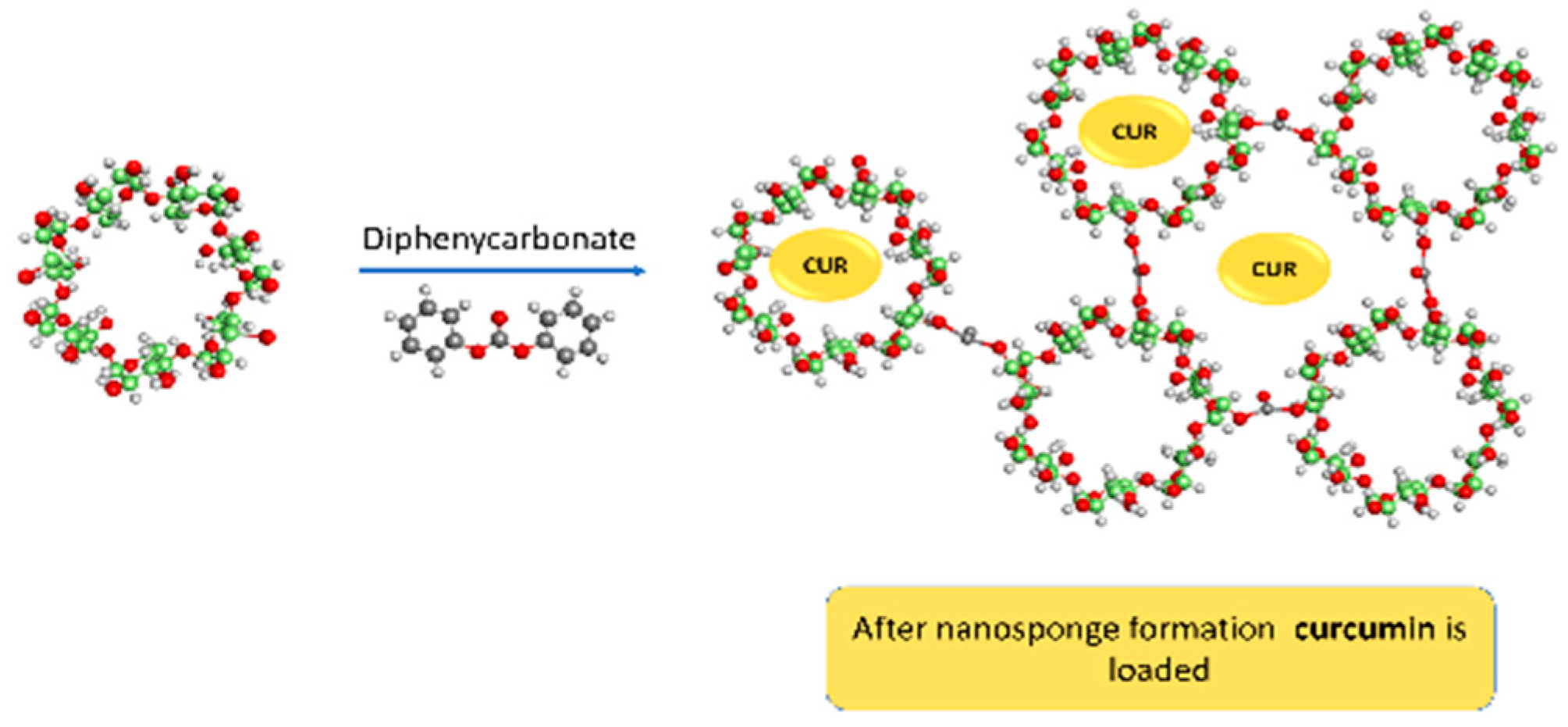 Polymers 13 04073 g001