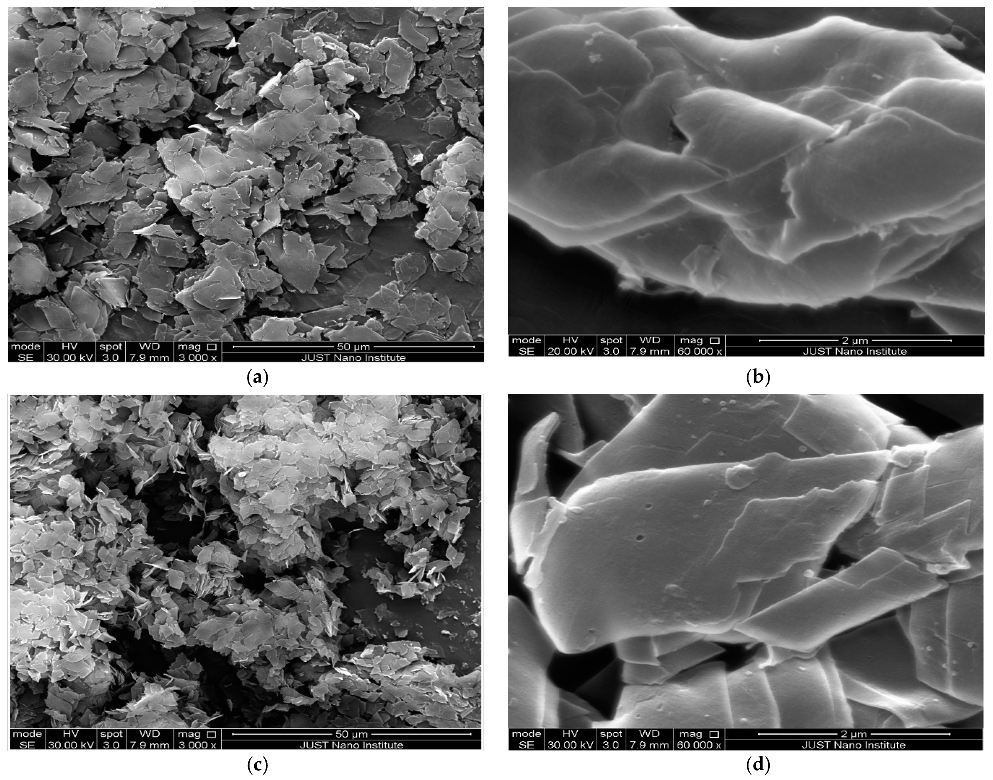 Polymers 13 04073 g008