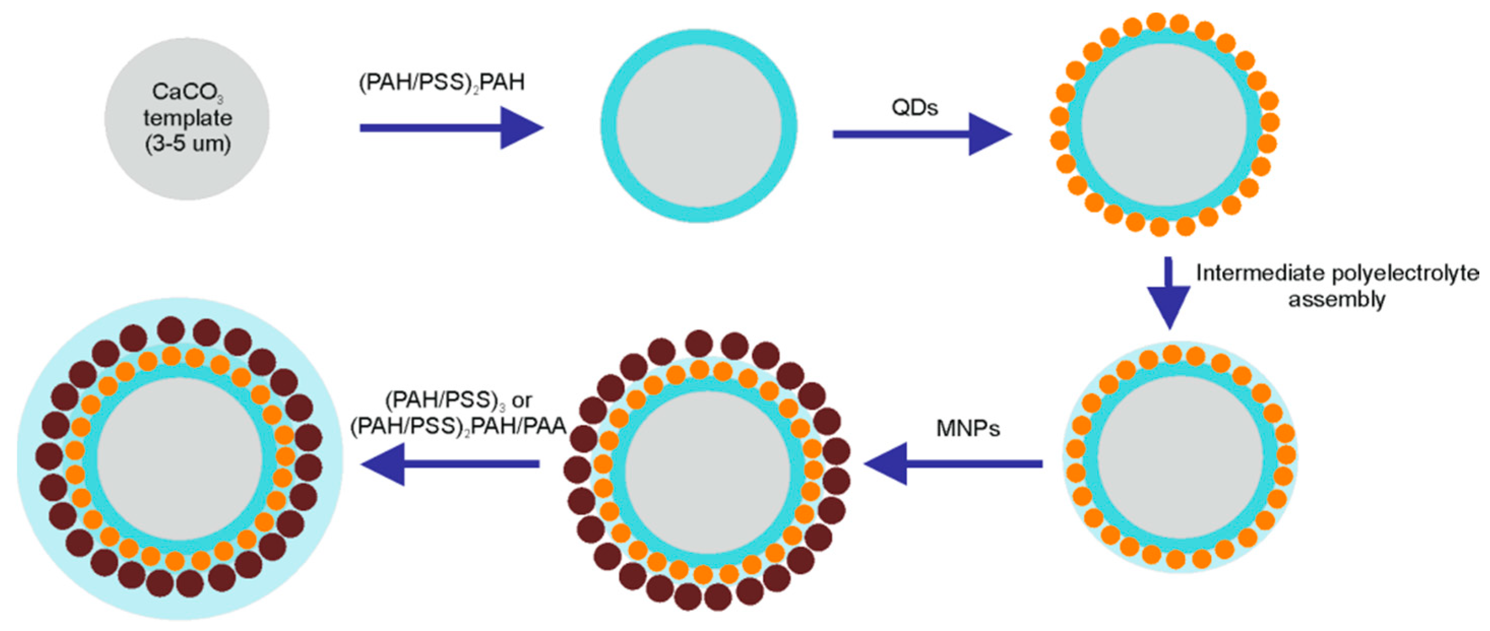 Polymers 13 04076 g001