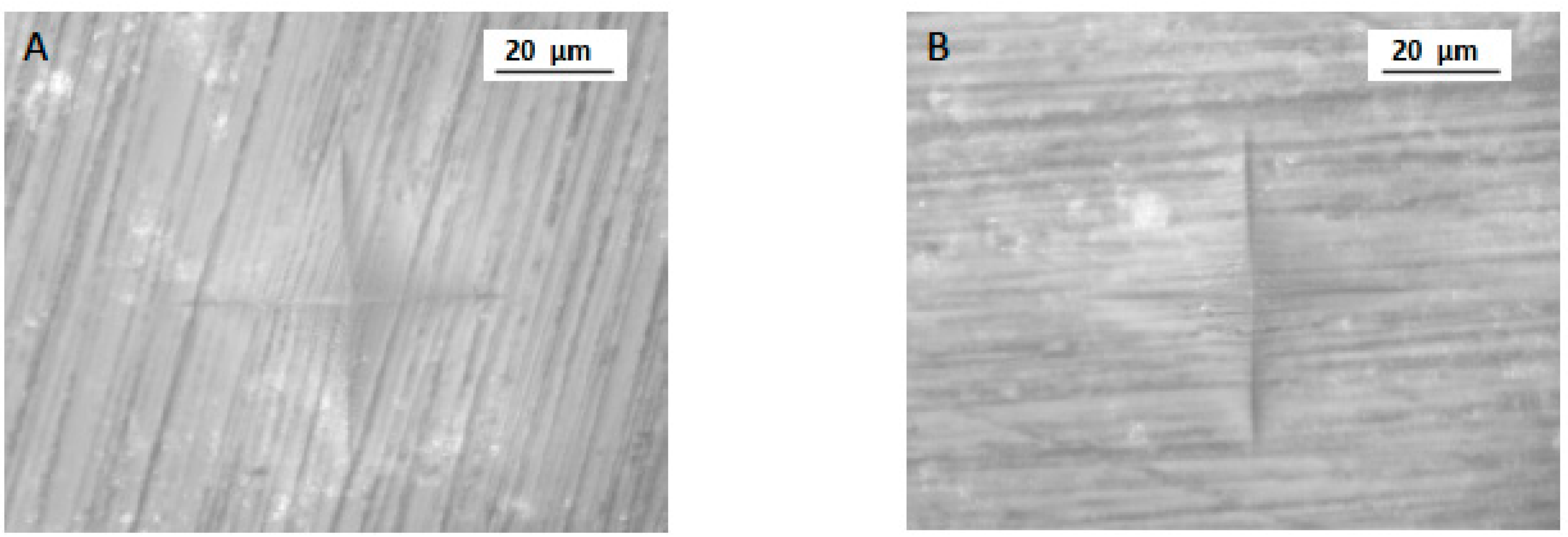 Polymers 13 04077 g004
