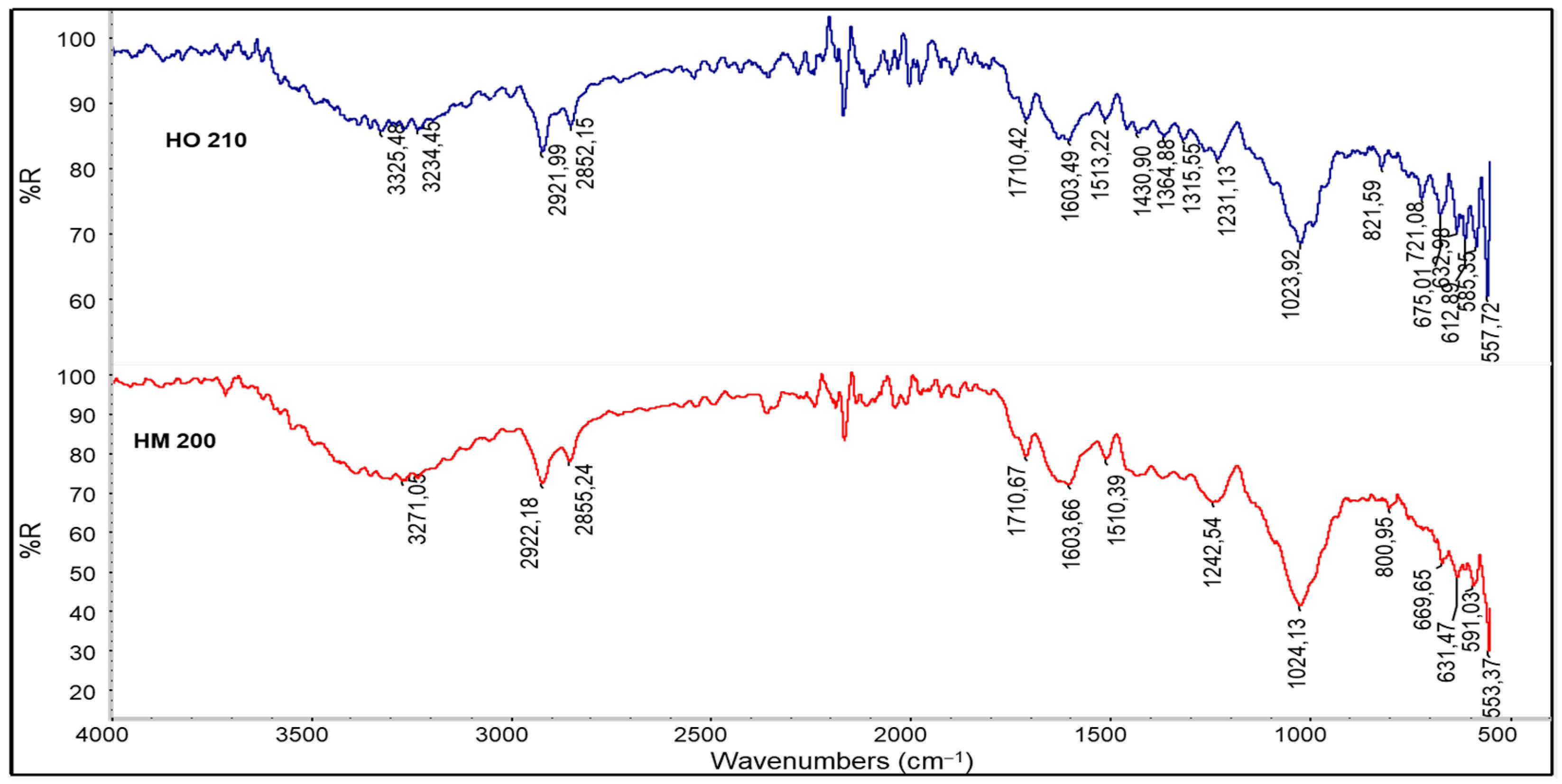 Polymers 13 04080 g003