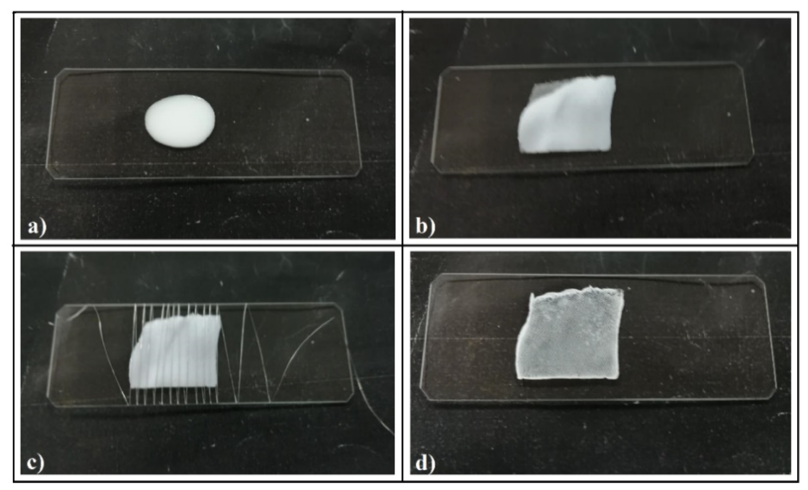 Polymers 13 04081 g001