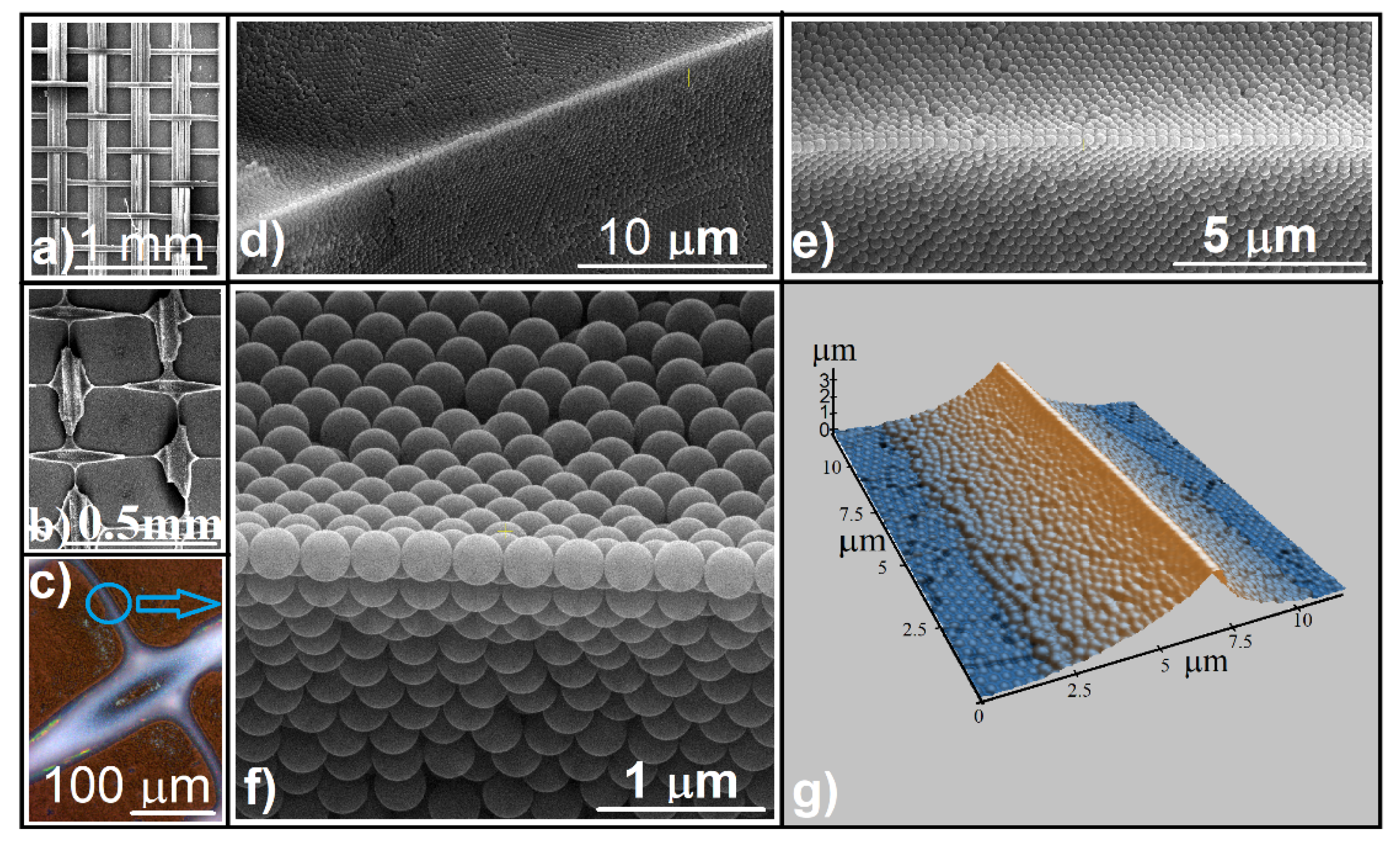 Polymers 13 04081 g002