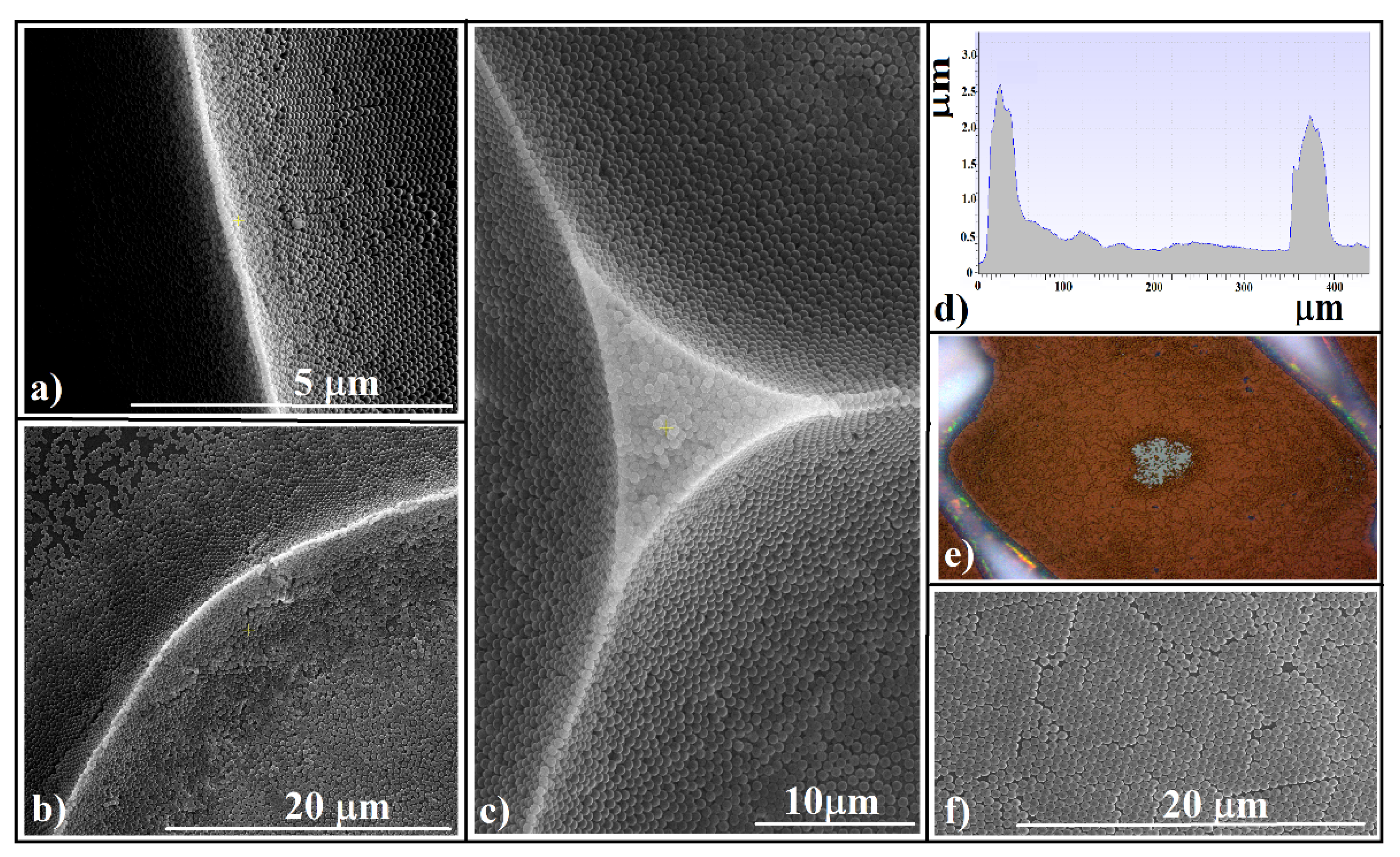 Polymers 13 04081 g003