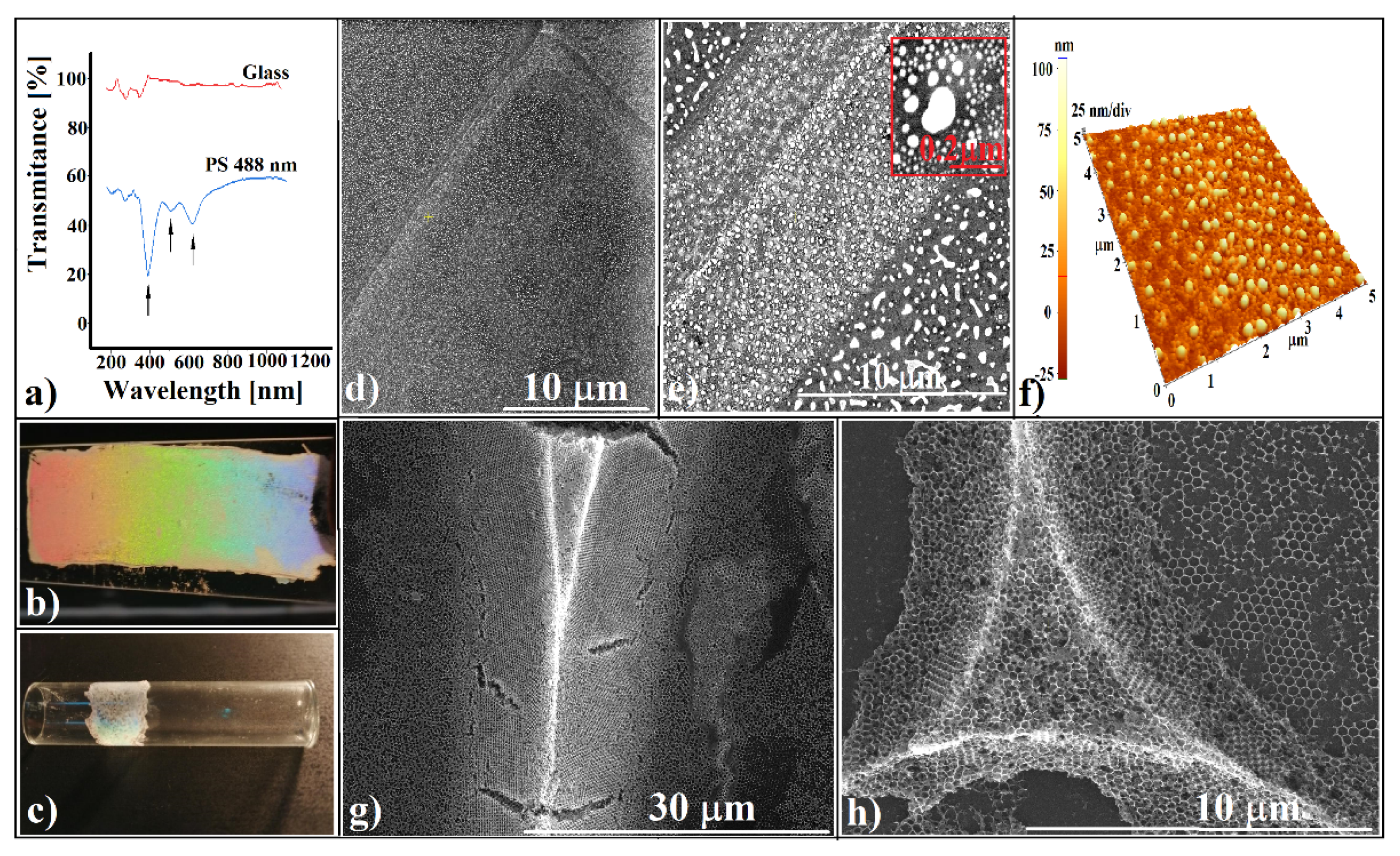 Polymers 13 04081 g005