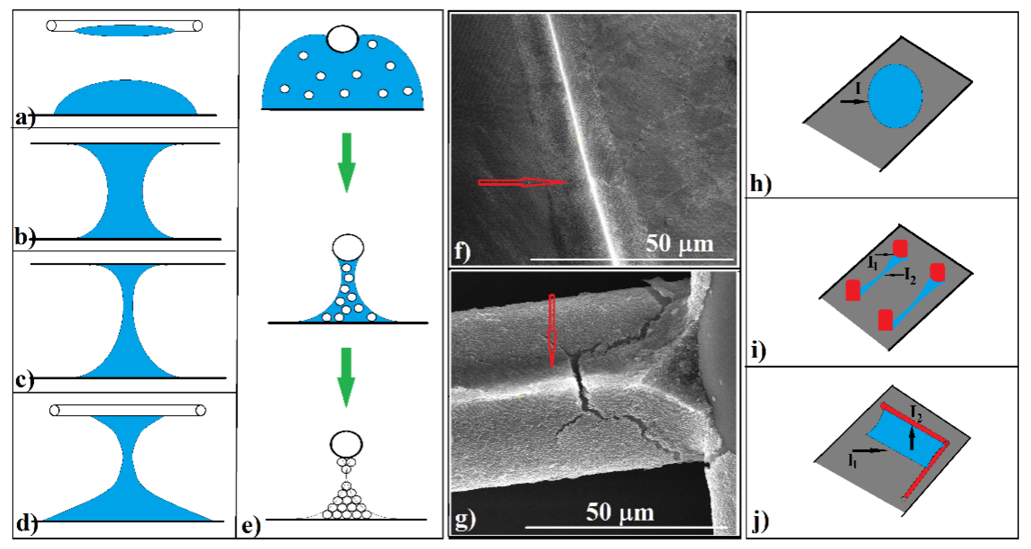 Polymers 13 04081 g006