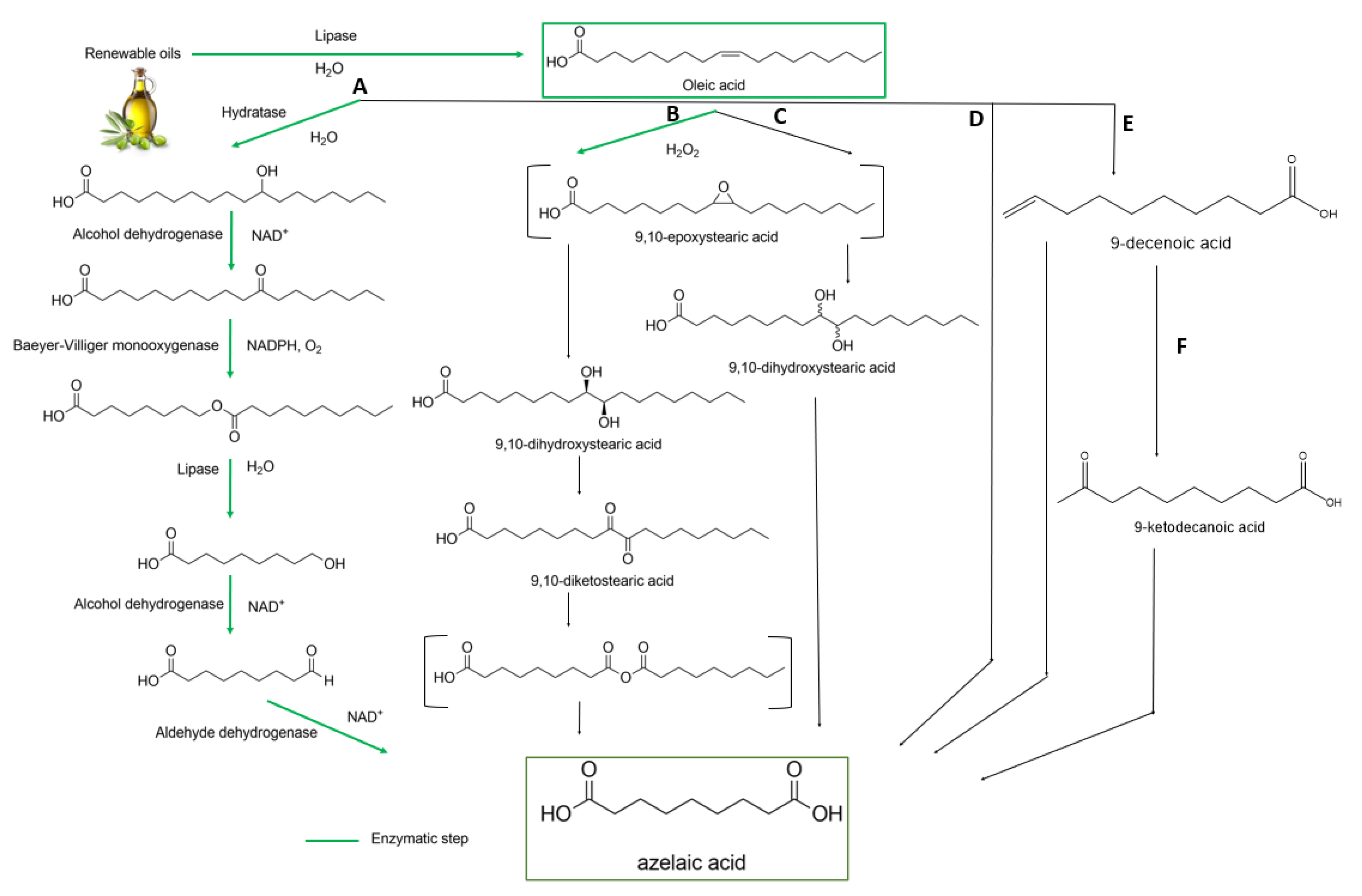 Polymers 13 04091 g001
