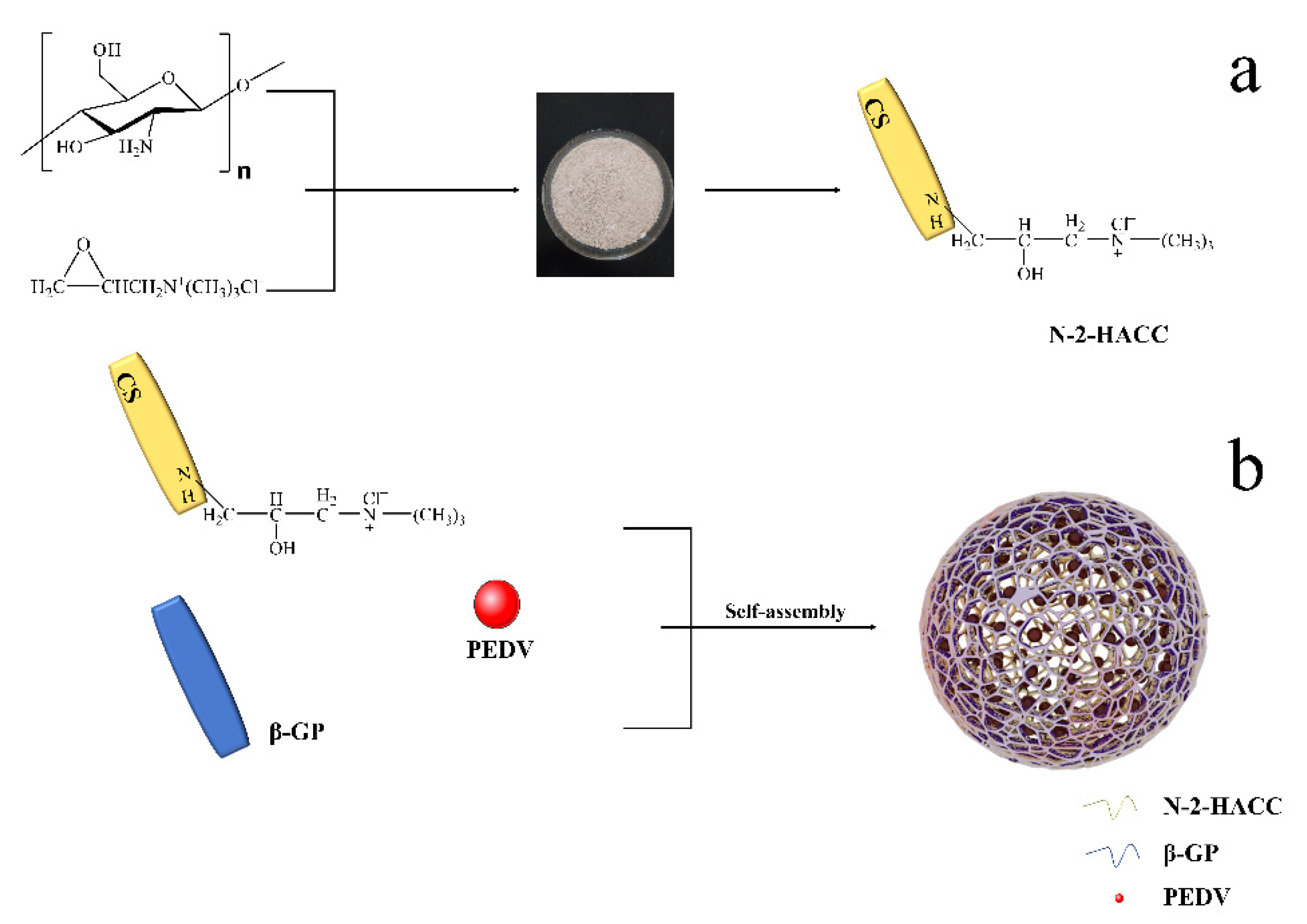 Polymers 13 04097 g001