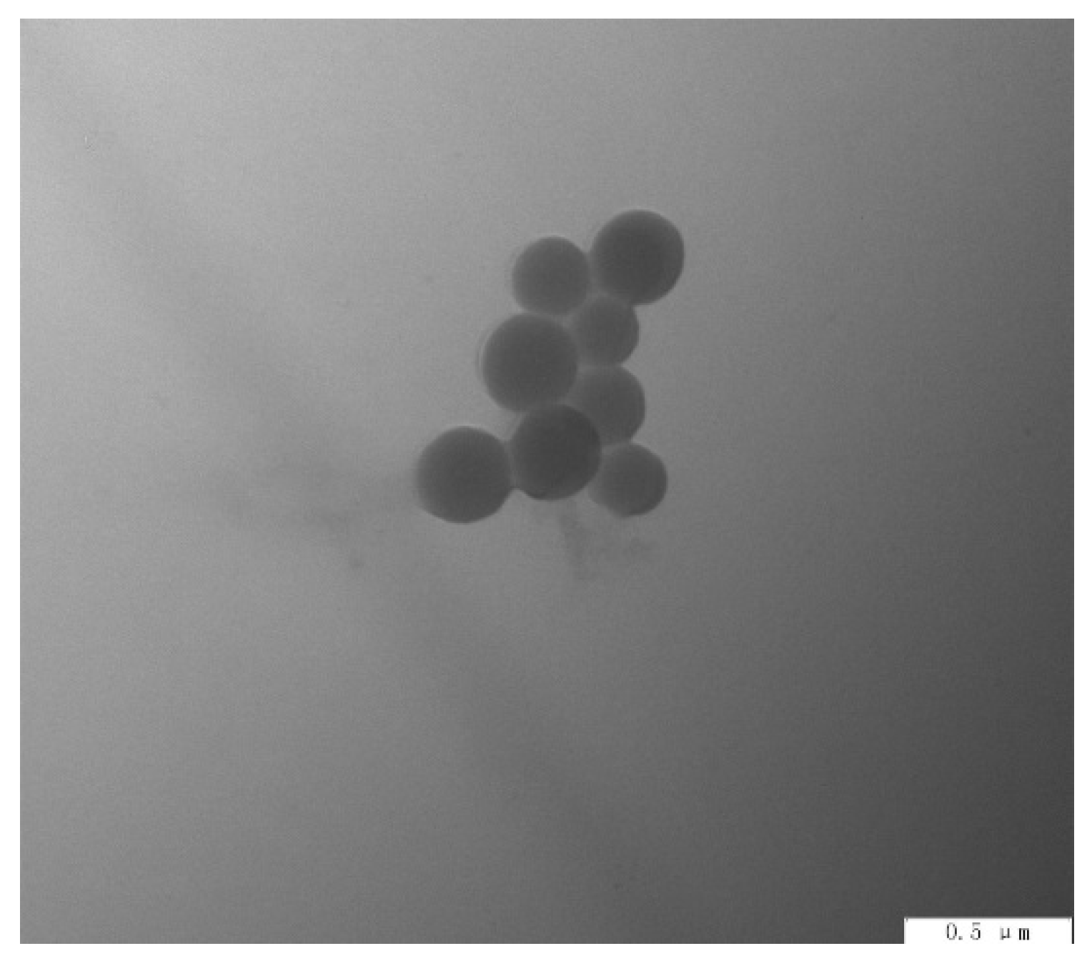 Polymers 13 04097 g009