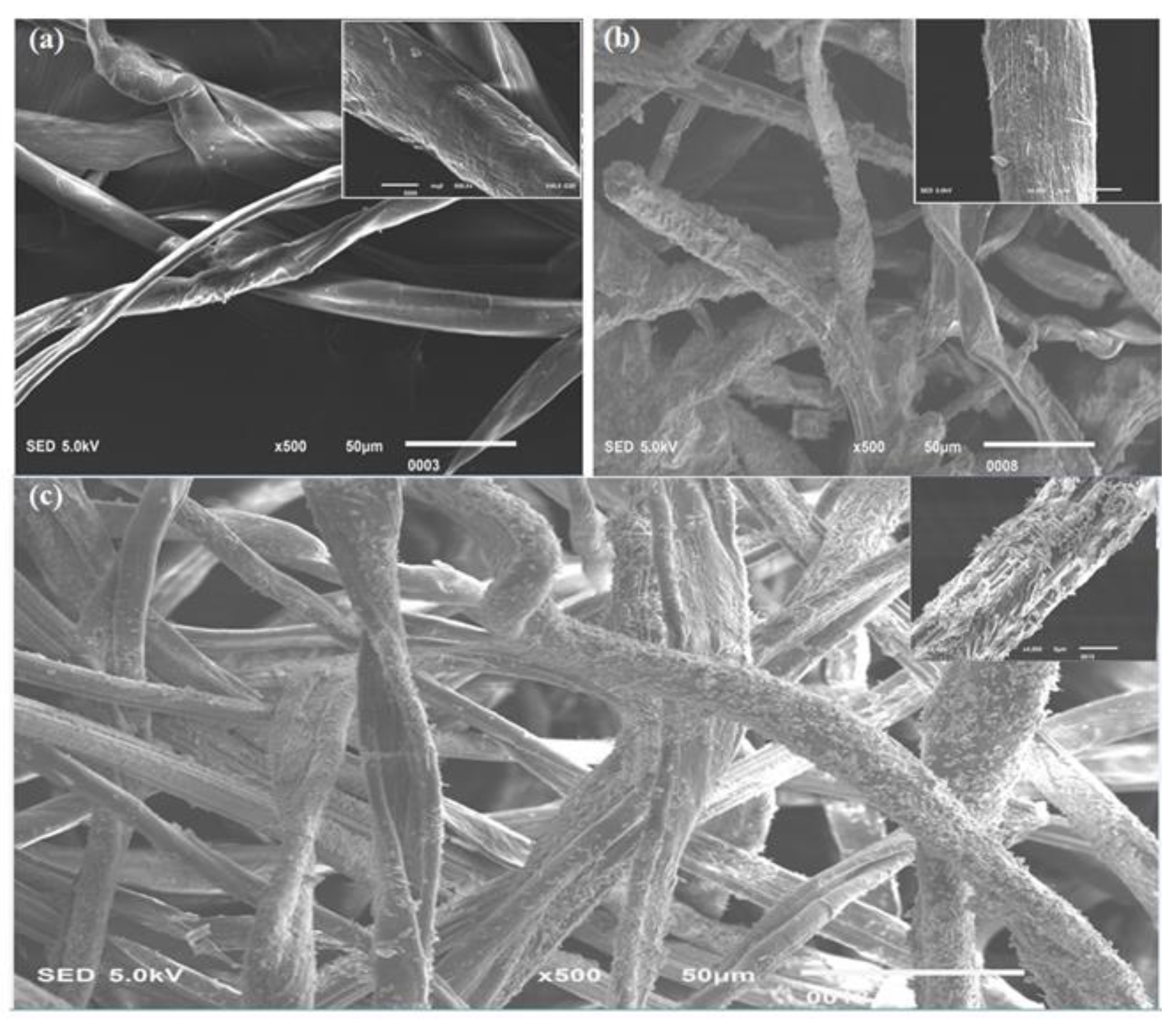 Polymers 13 04098 g004 Polymers 13 04098 g004
