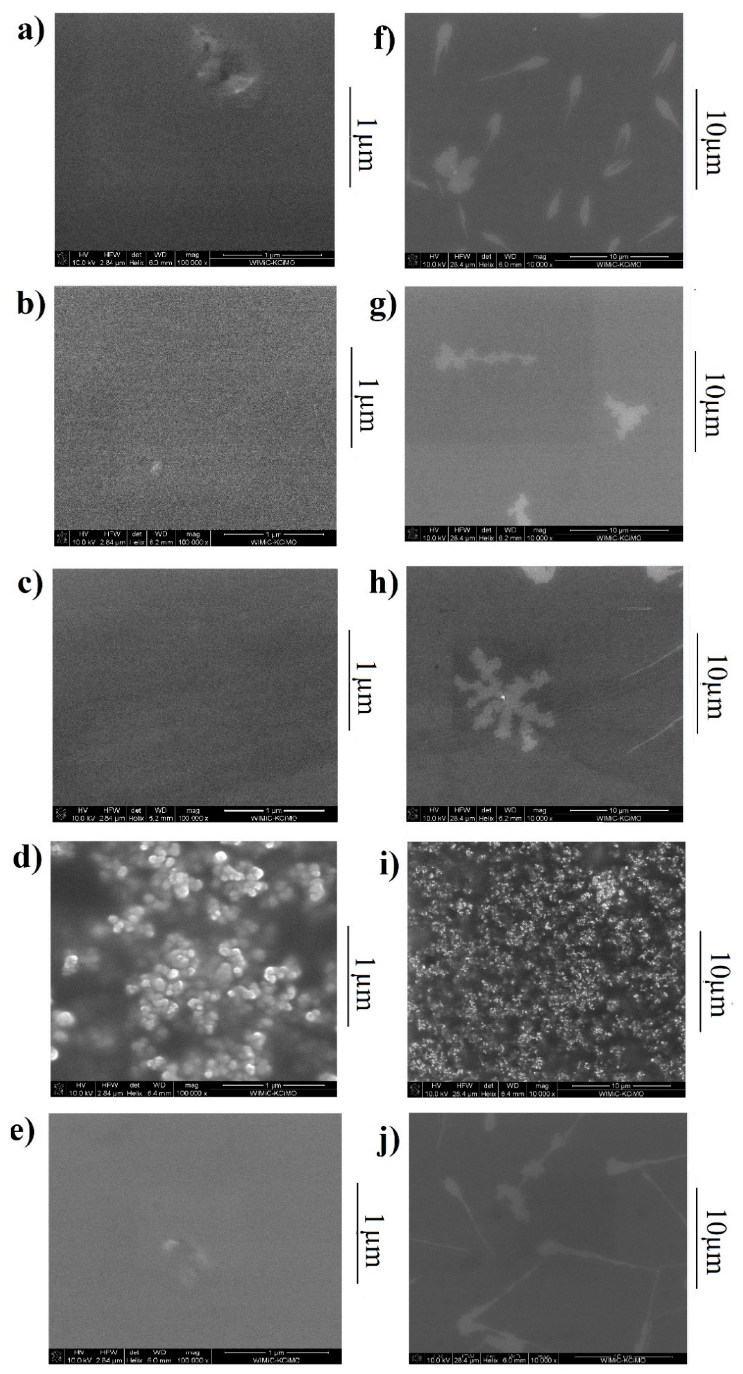 Polymers 13 04099 g007