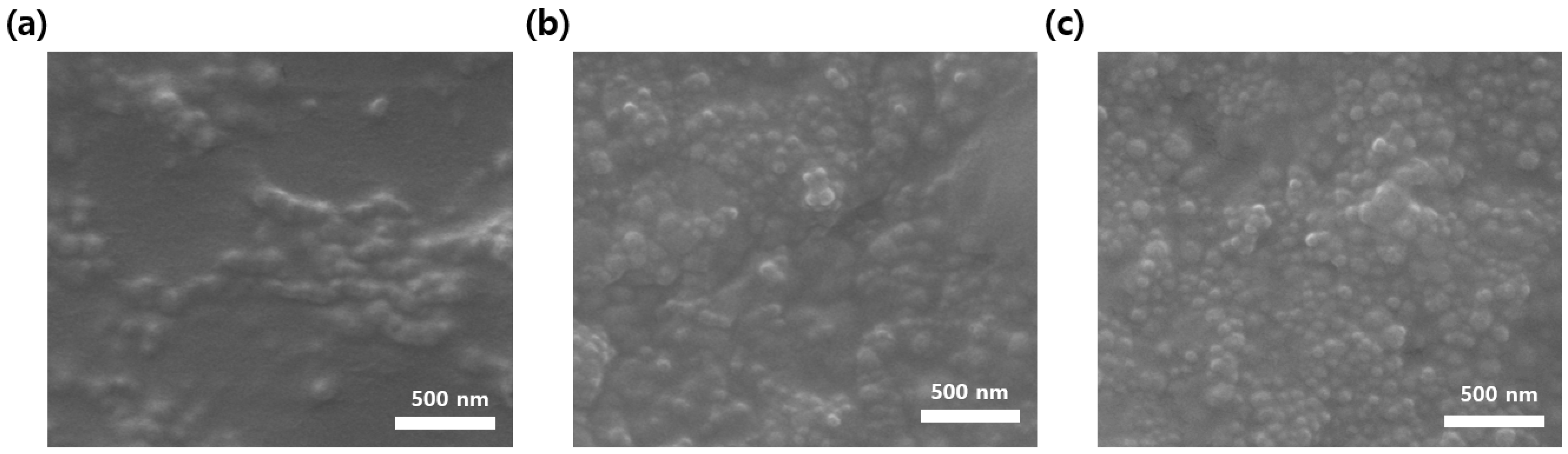 Polymers 13 04100 g006