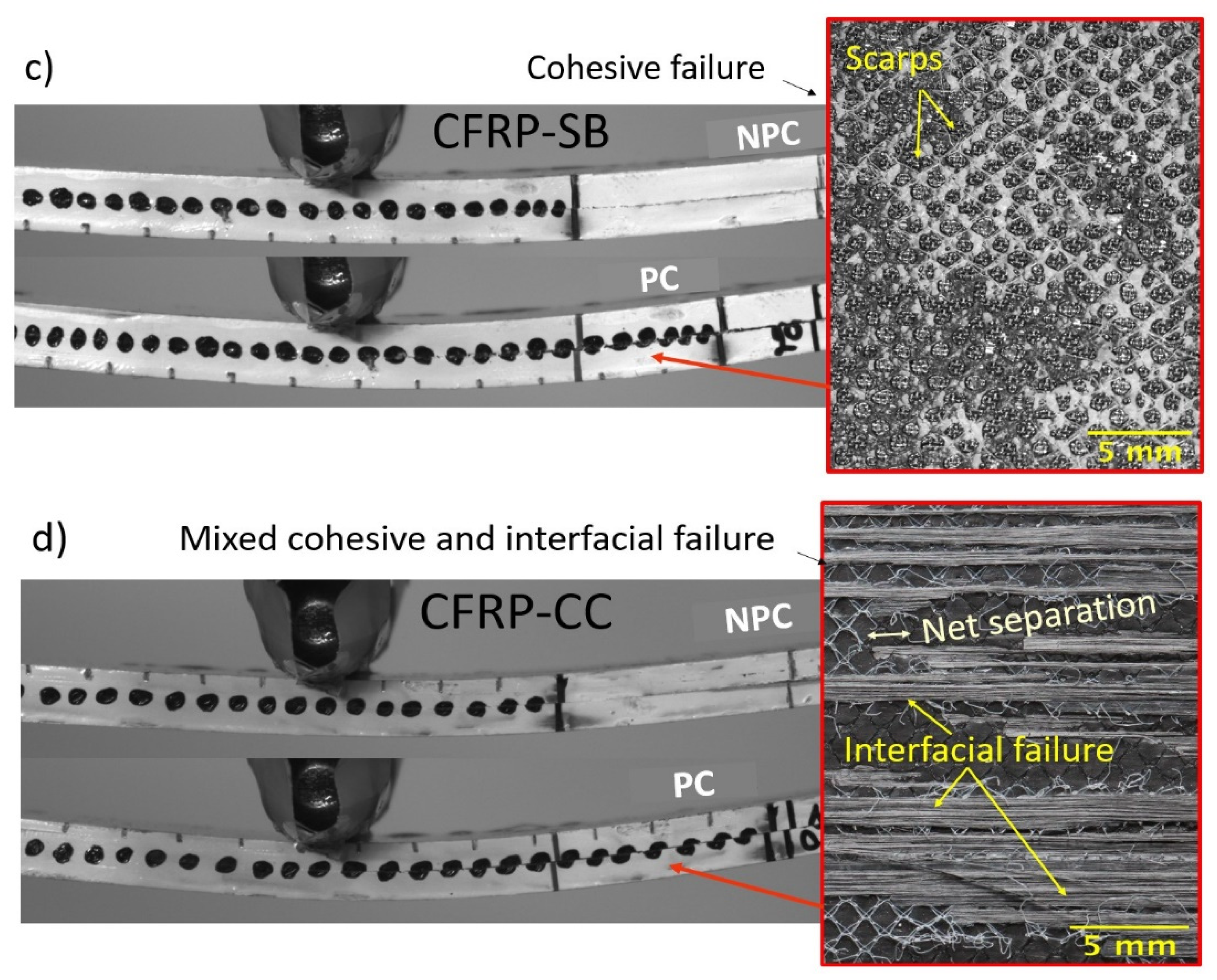 Polymers 13 04103 g007b