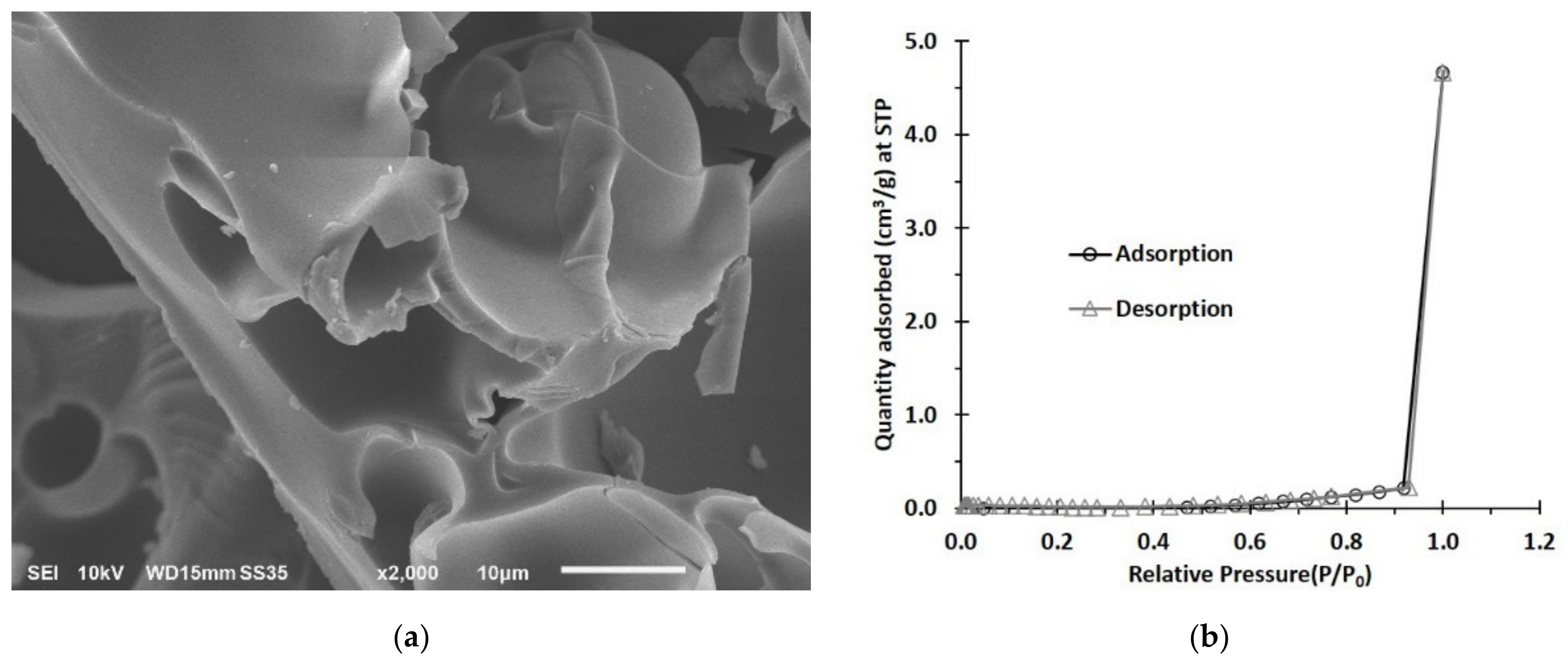 Polymers 13 04110 g003 Polymers 13 04110 g003
