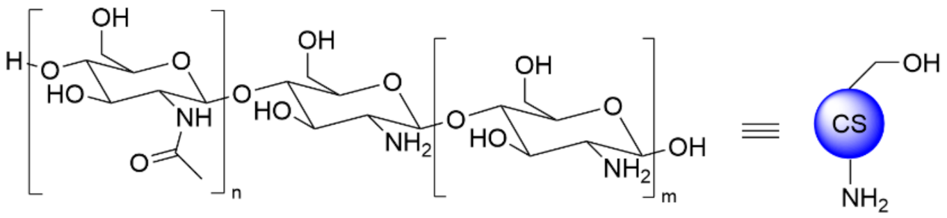 Polymers 13 04118 g001