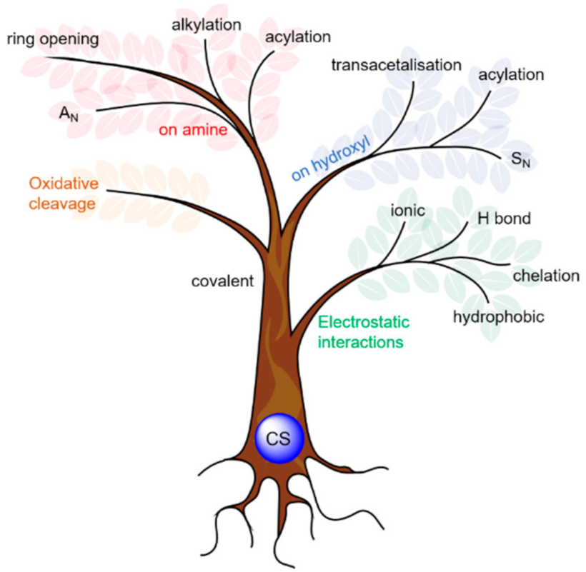 Polymers 13 04118 g002