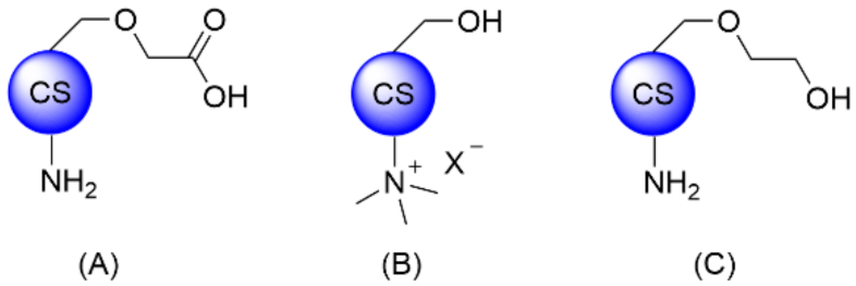 Polymers 13 04118 g003