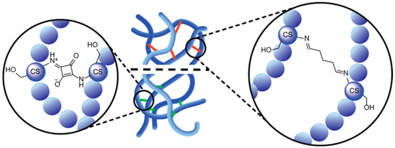 Polymers 13 04118 g006