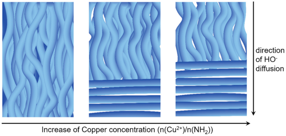 Polymers 13 04118 g008