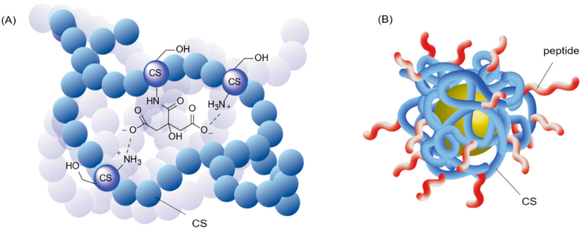 Polymers 13 04118 g009