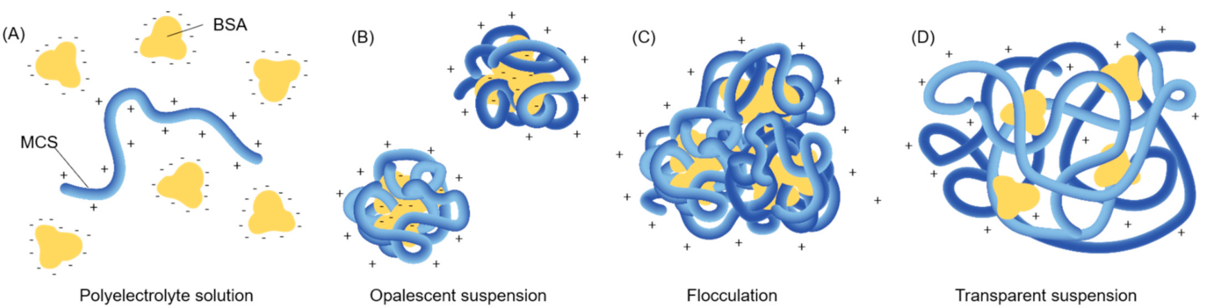 Polymers 13 04118 g011