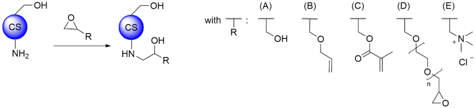 Polymers 13 04118 sch004