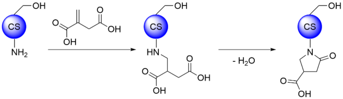 Polymers 13 04118 sch006