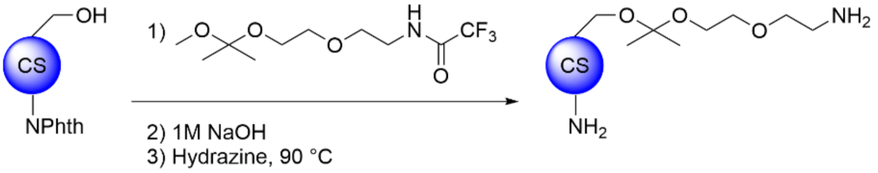 Polymers 13 04118 sch007