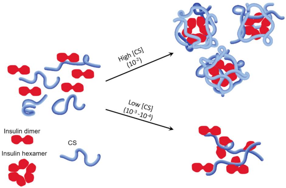Polymers 13 04118 sch009