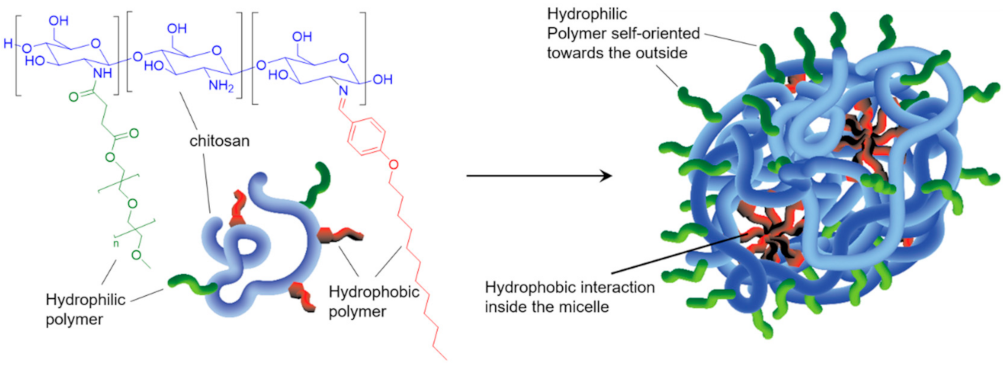 Polymers 13 04118 sch010