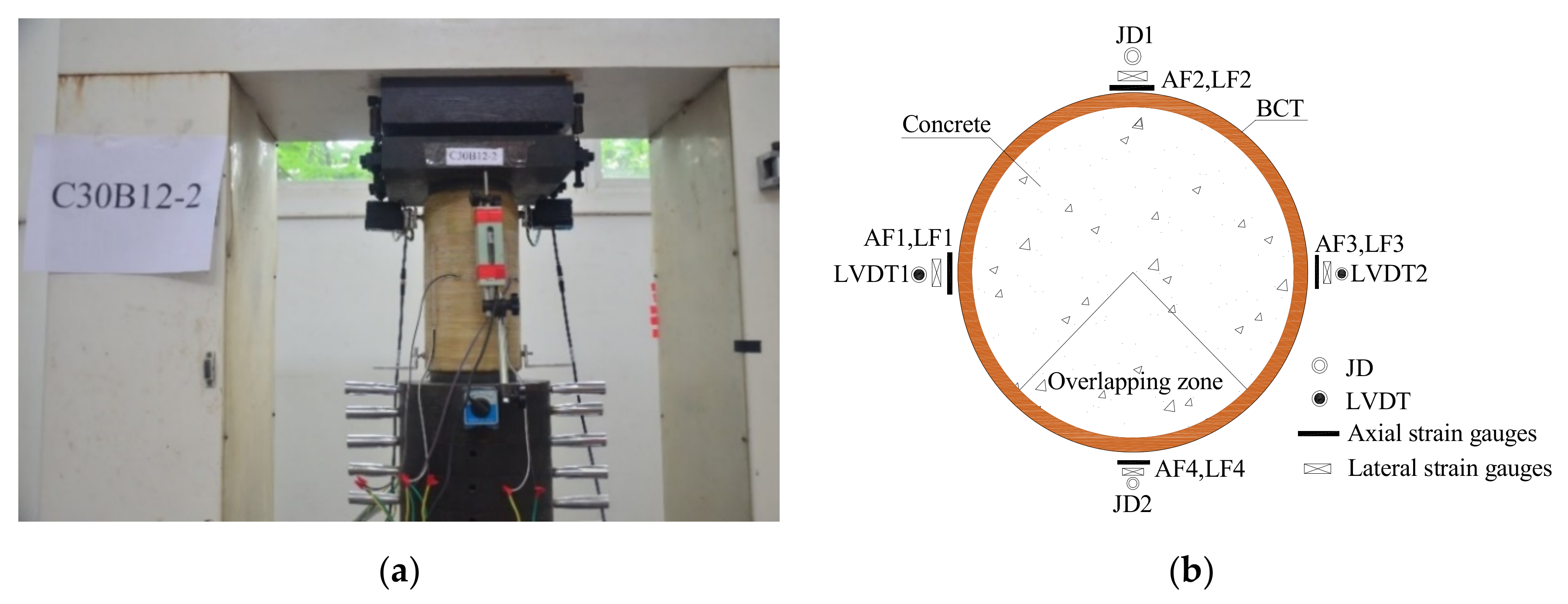 Polymers 13 04124 g003