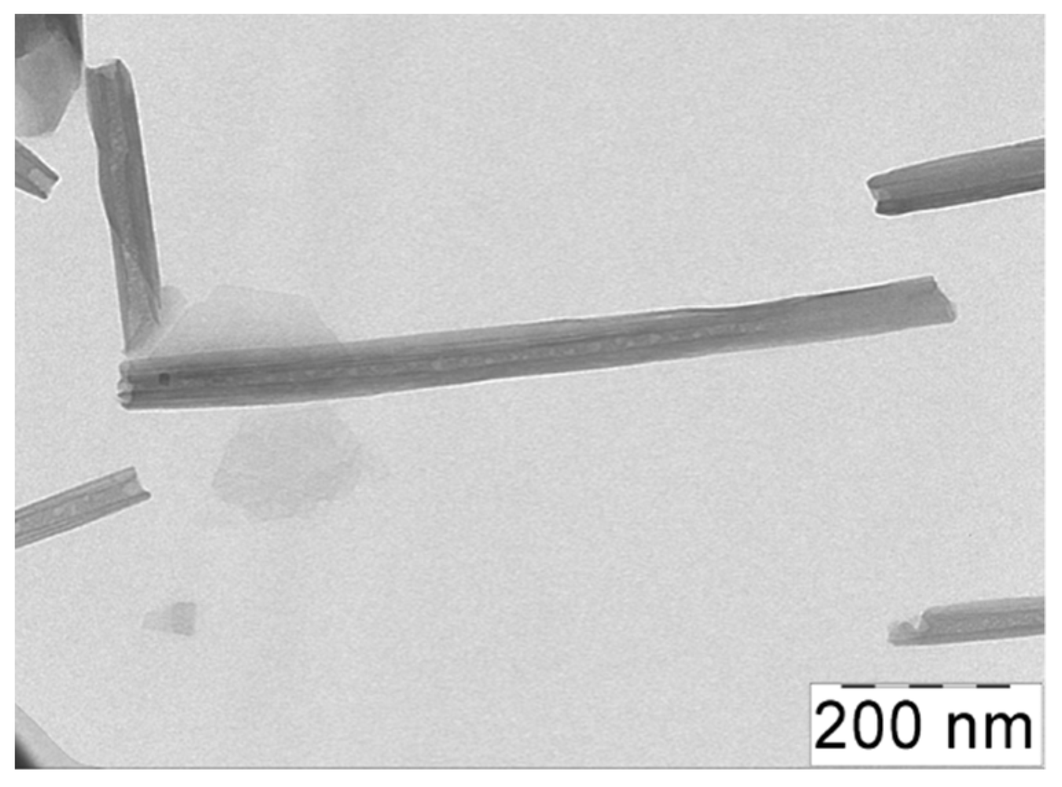 Polymers 13 04130 g001