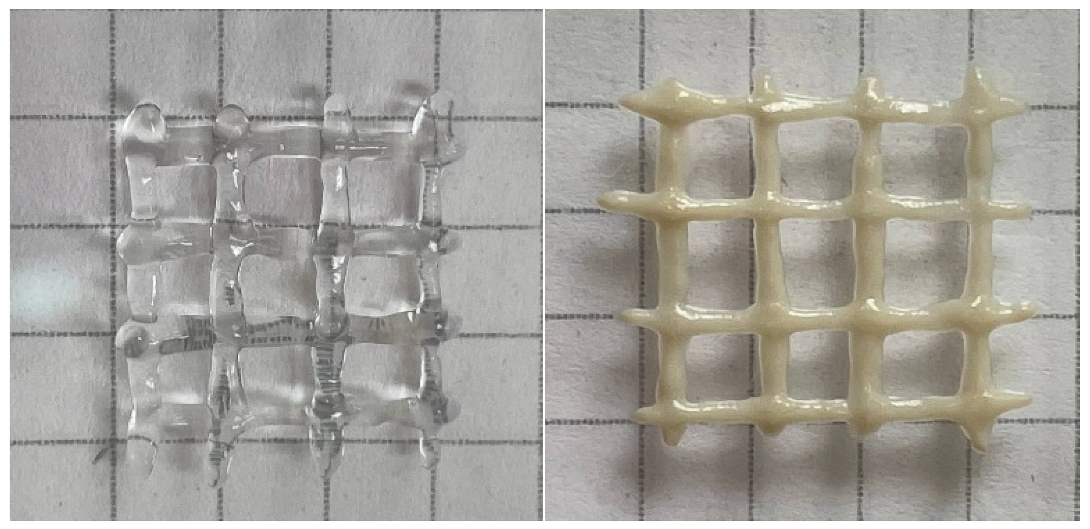 Polymers 13 04130 g006