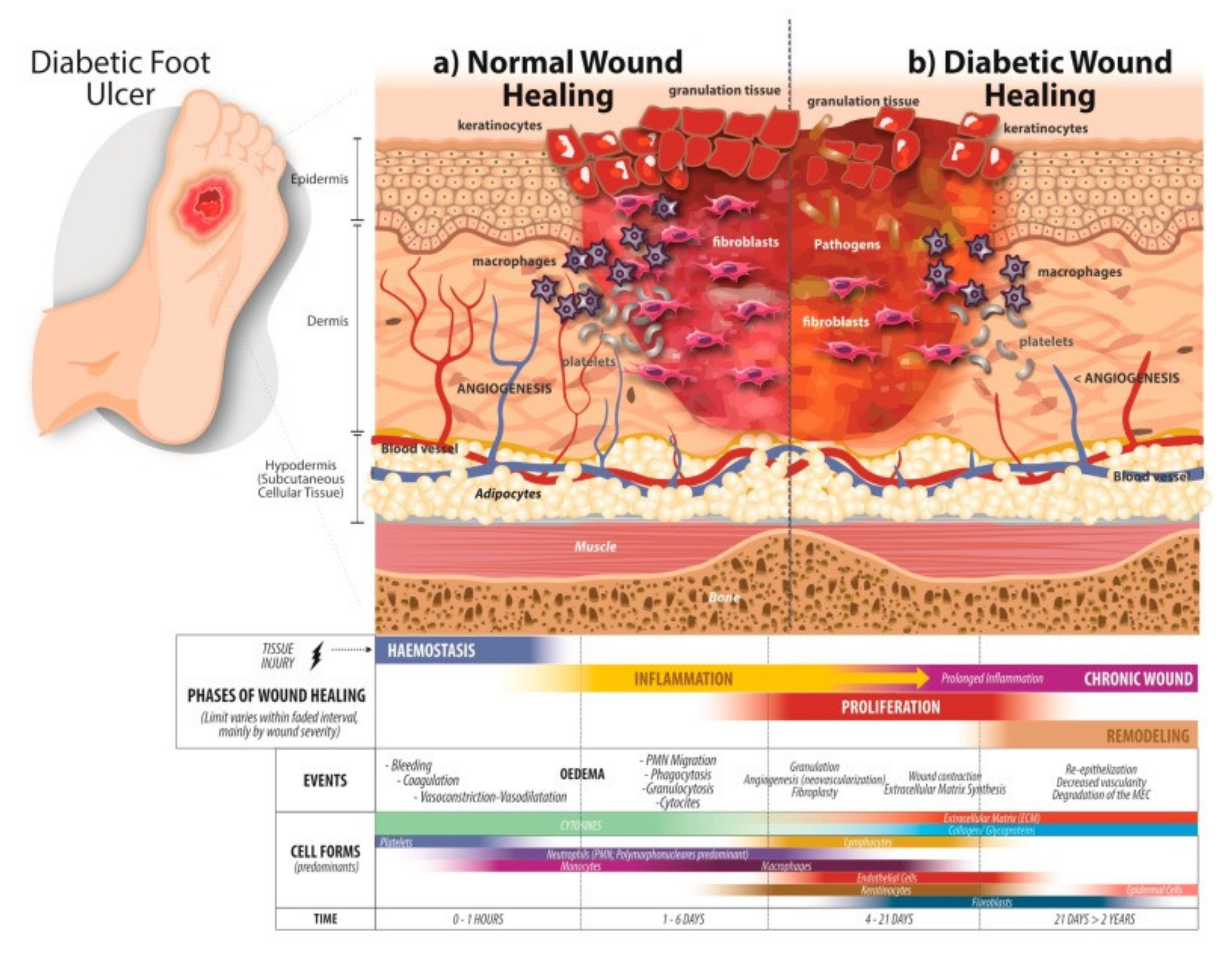 Polymers 13 04131 g001