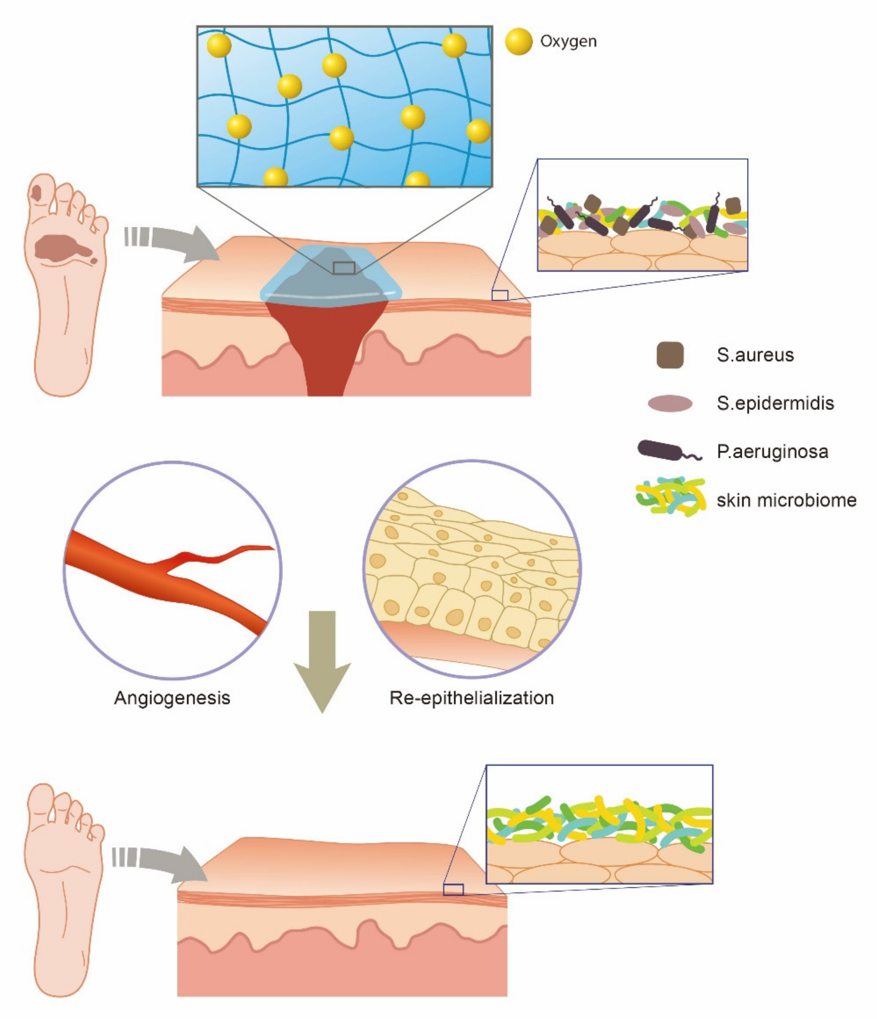 Polymers 13 04131 g003