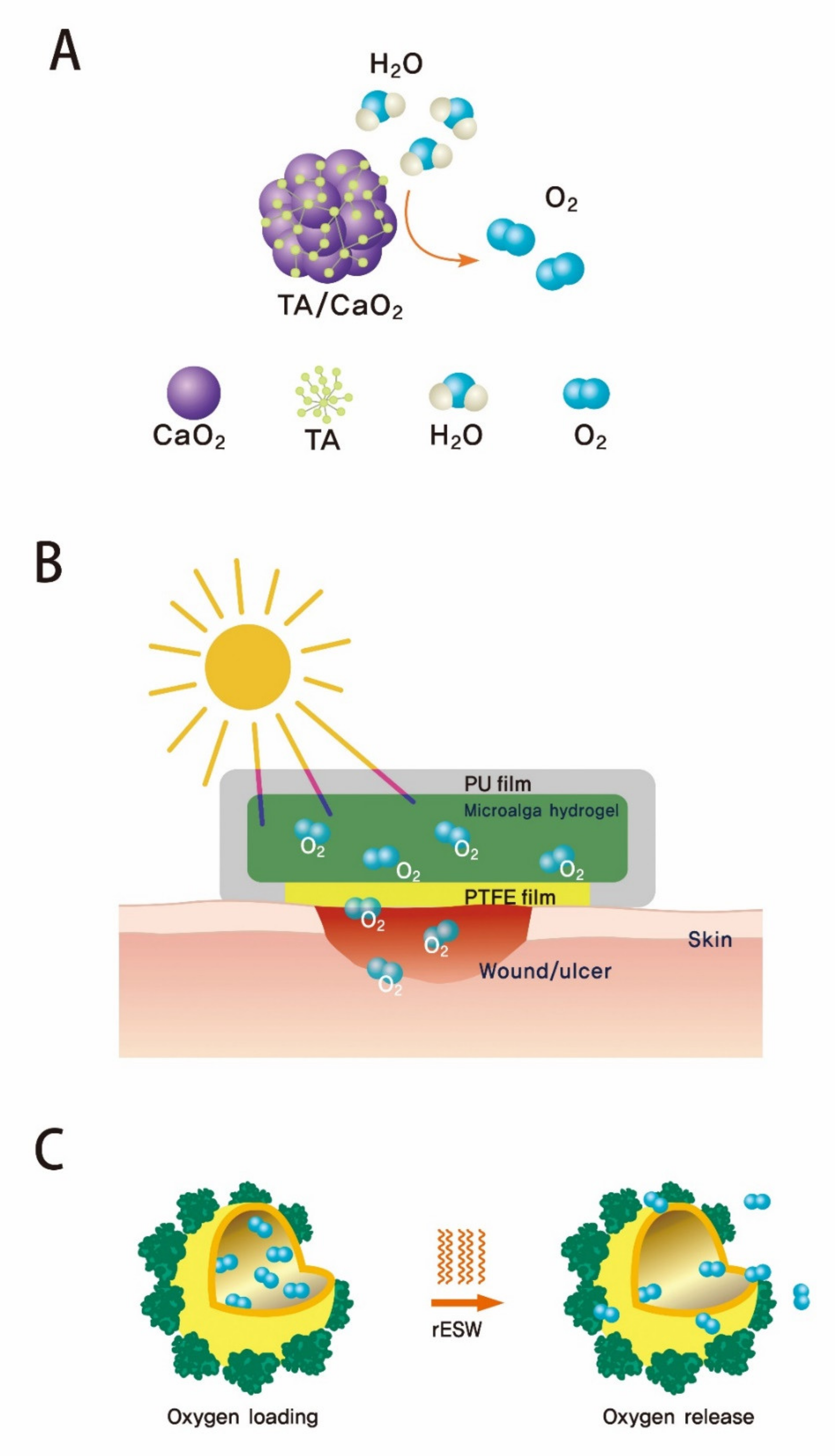 Polymers 13 04131 g004