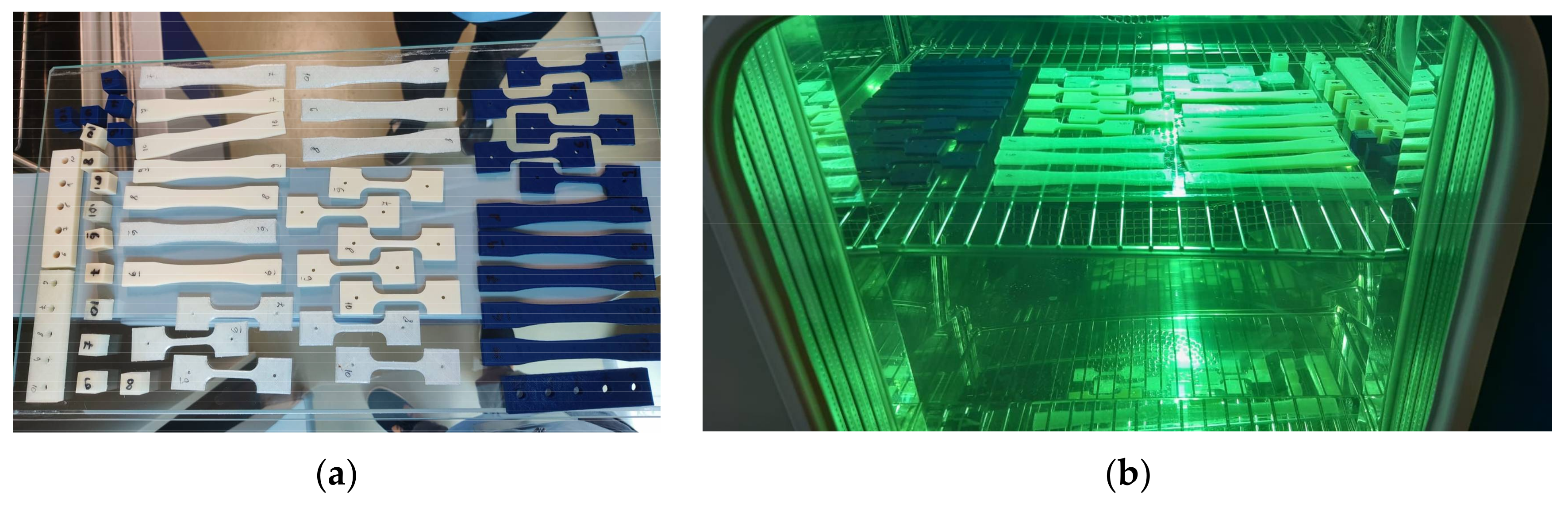 Polymers 13 04132 g001