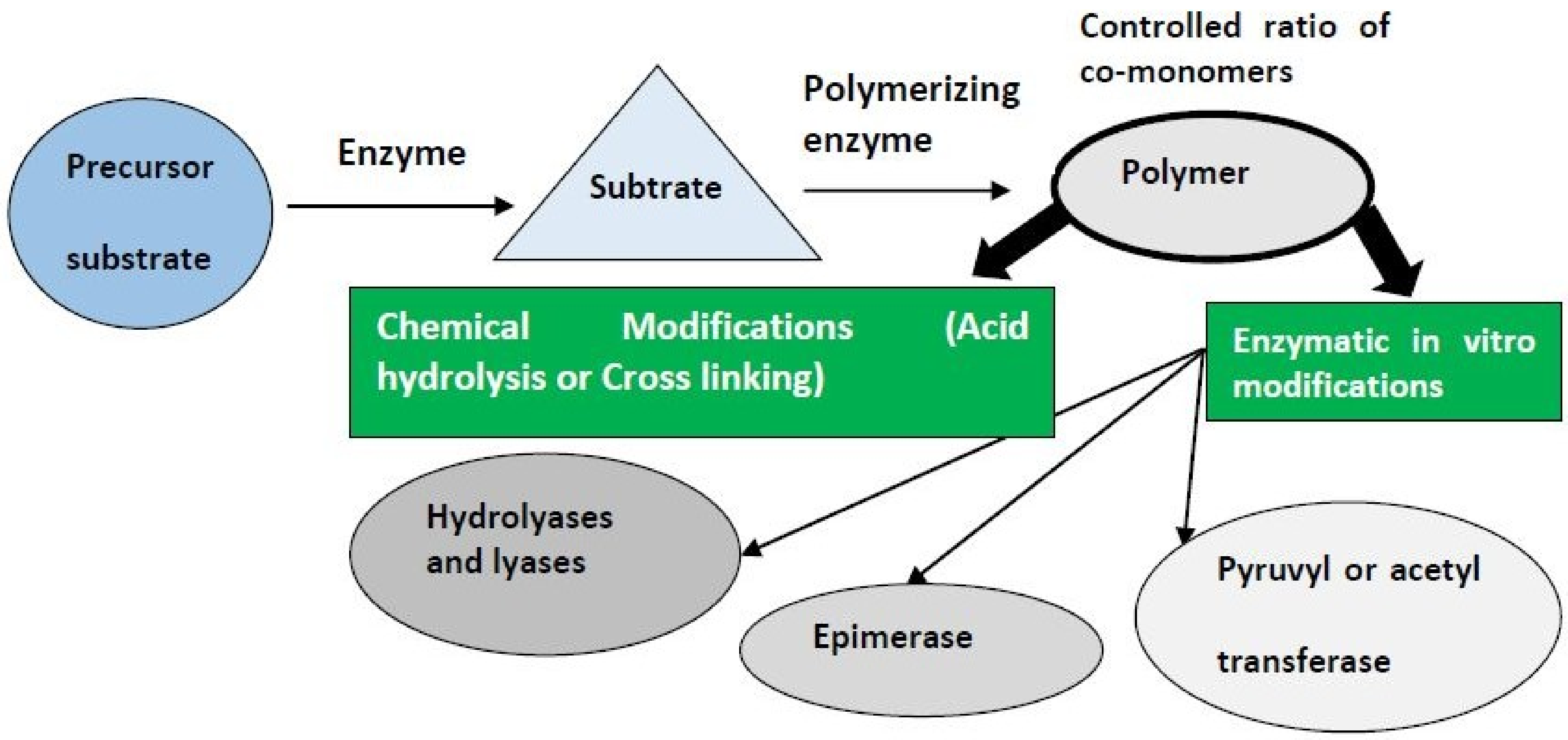 Polymers 13 04136 g002