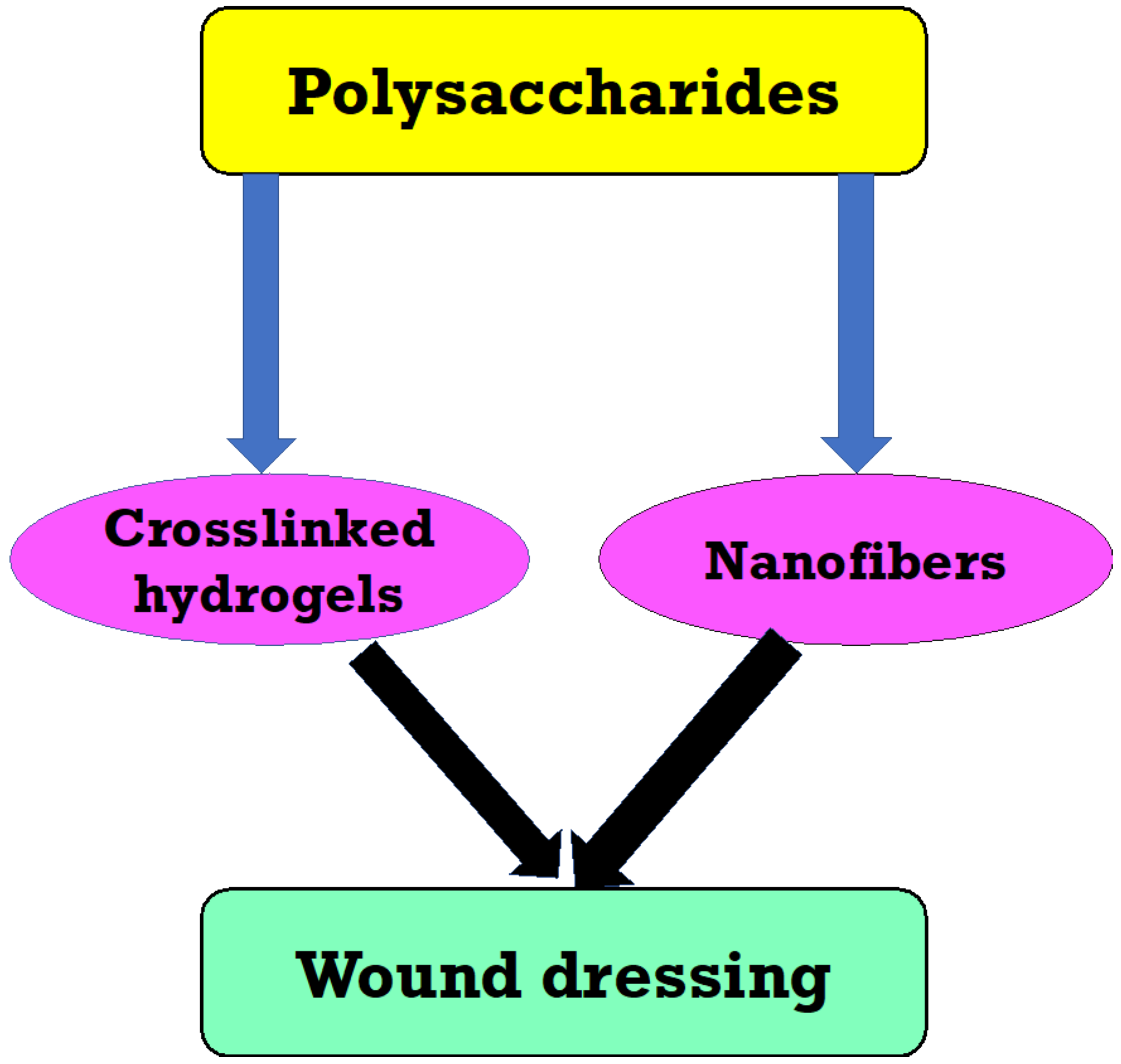 Polymers 13 04136 g004