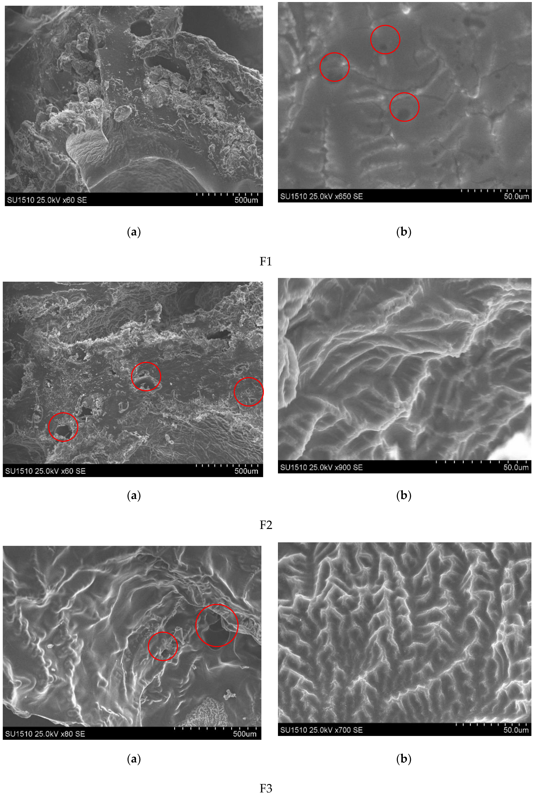 Polymers 13 04147 g002a