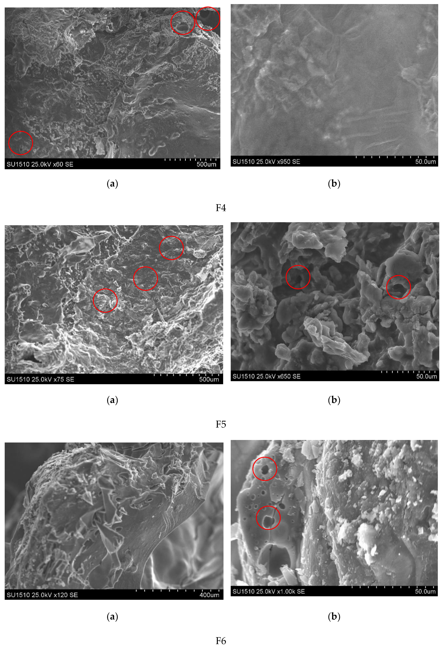 Polymers 13 04147 g002b
