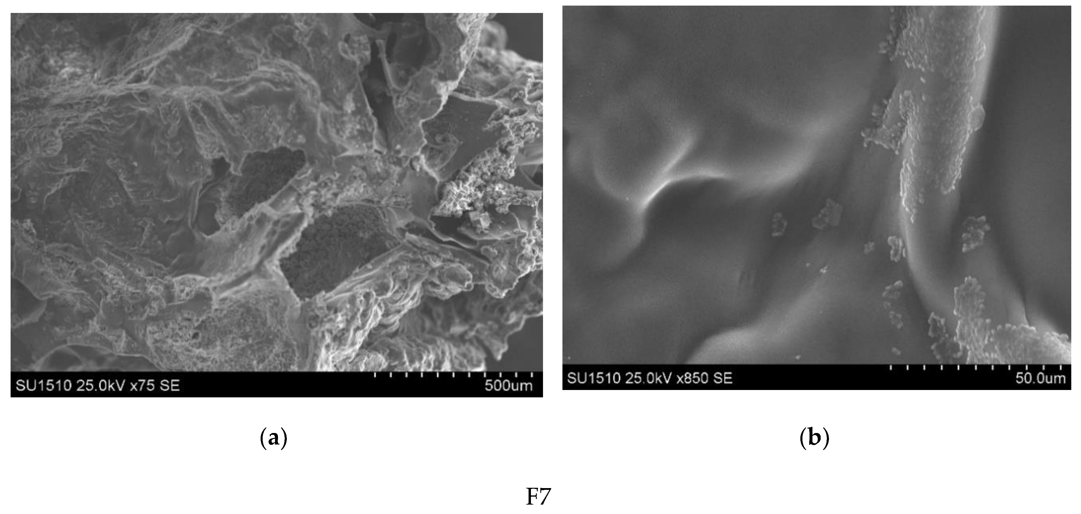Polymers 13 04147 g002c