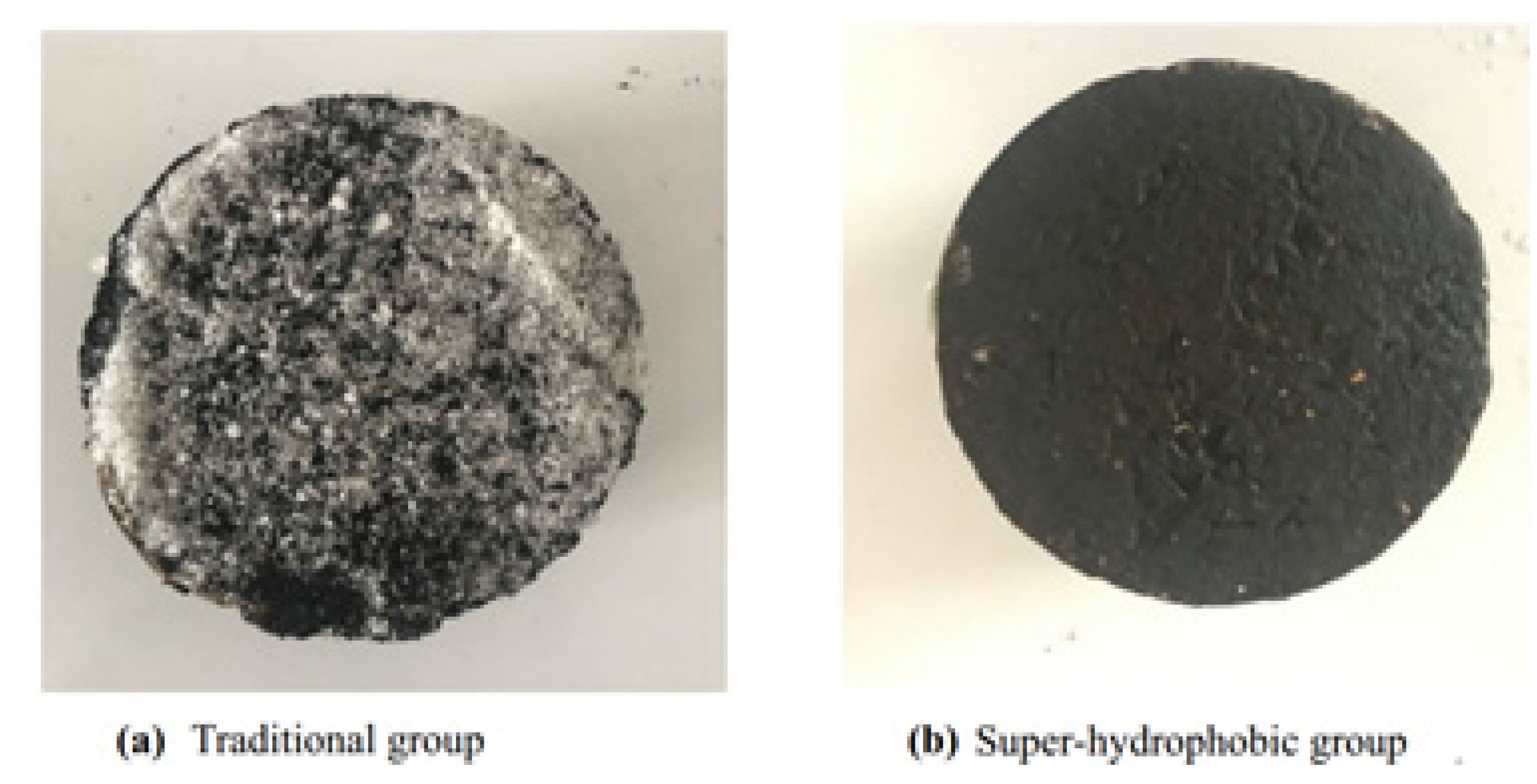 Polymers 13 04149 g005